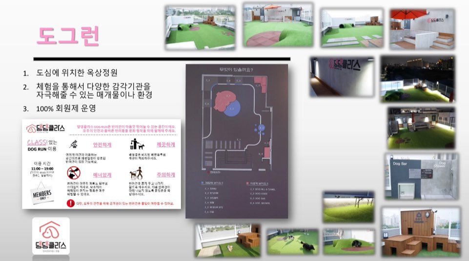 댕댕클라스 대표 이미지