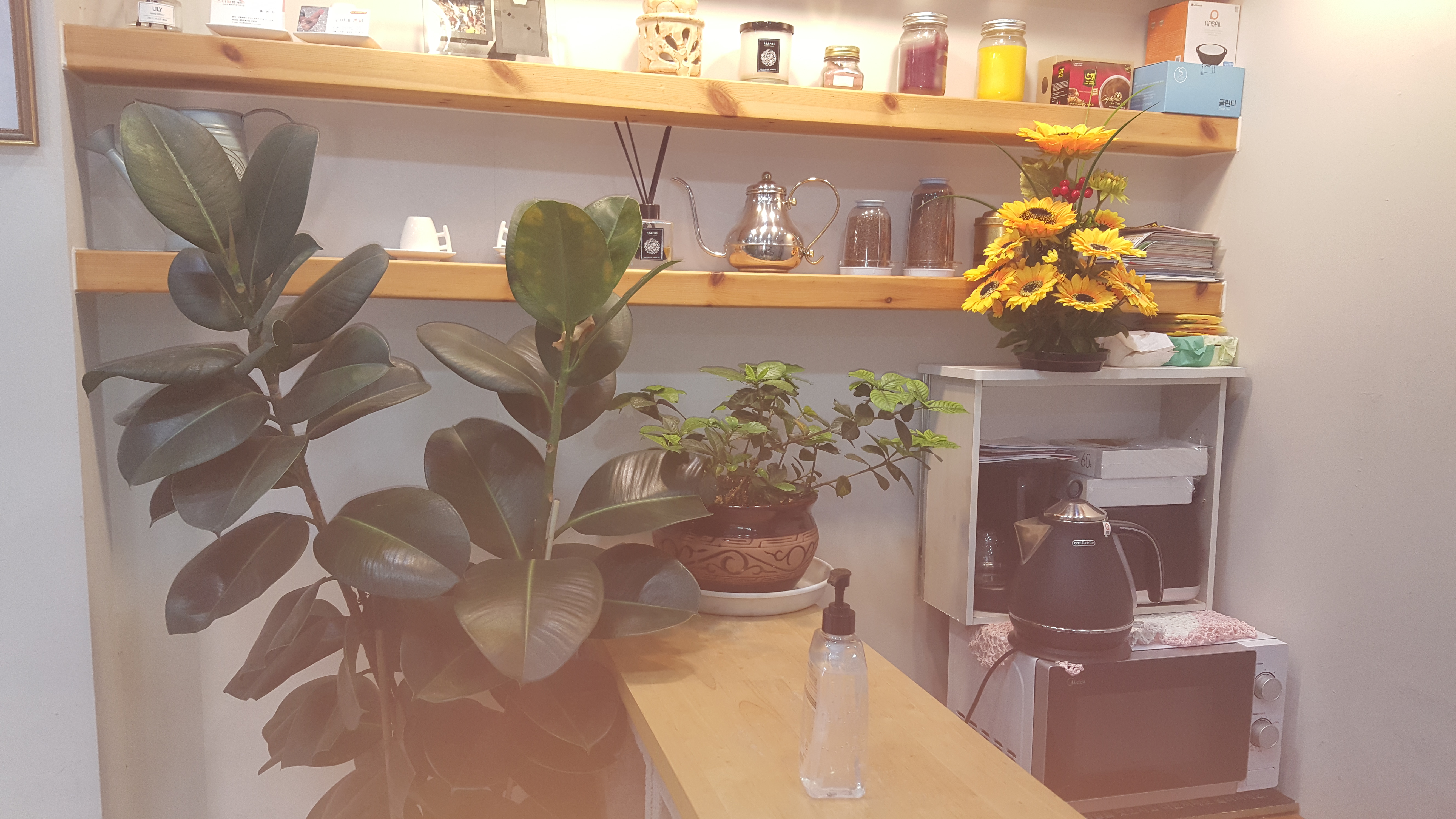 하리나 photo 5