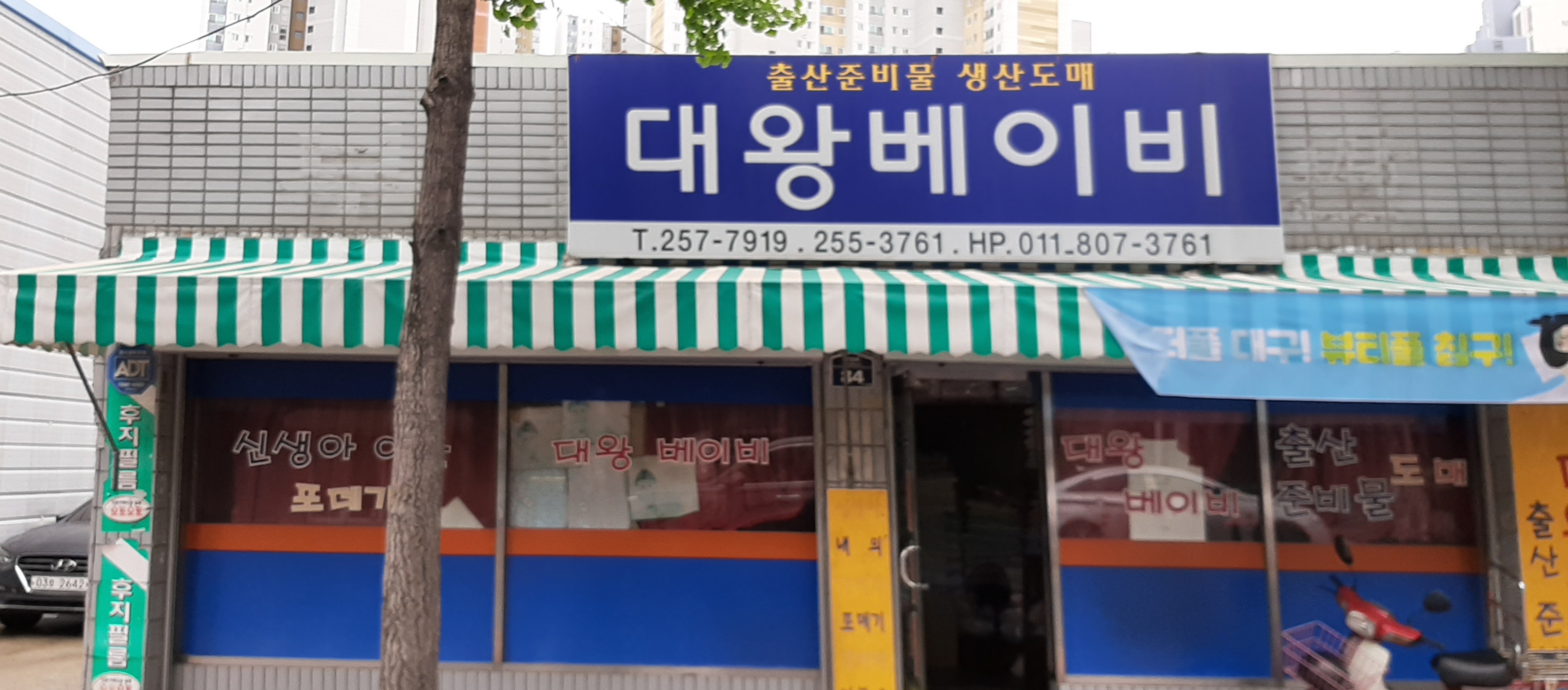 대왕베이비