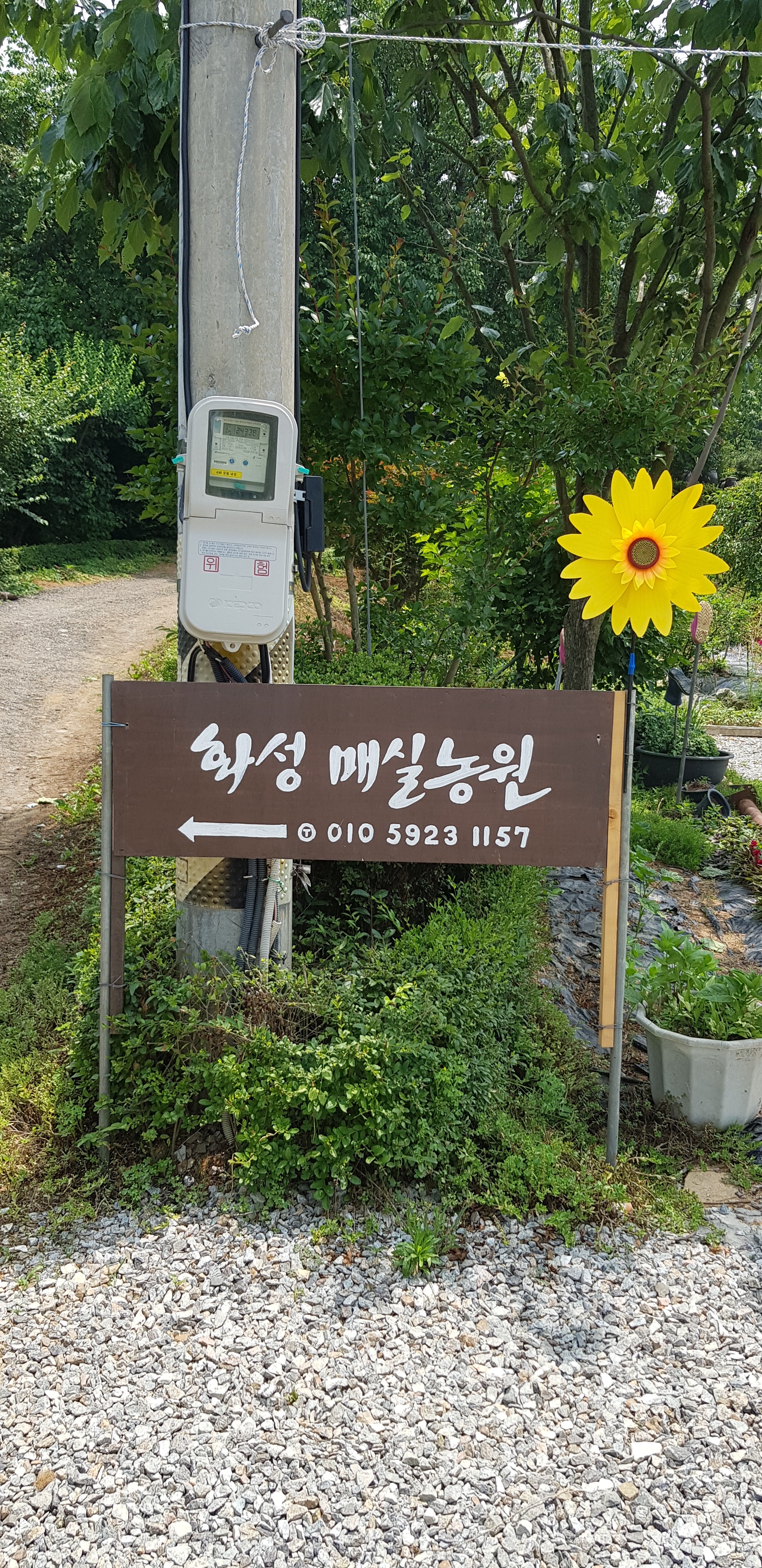 화성매실농원
