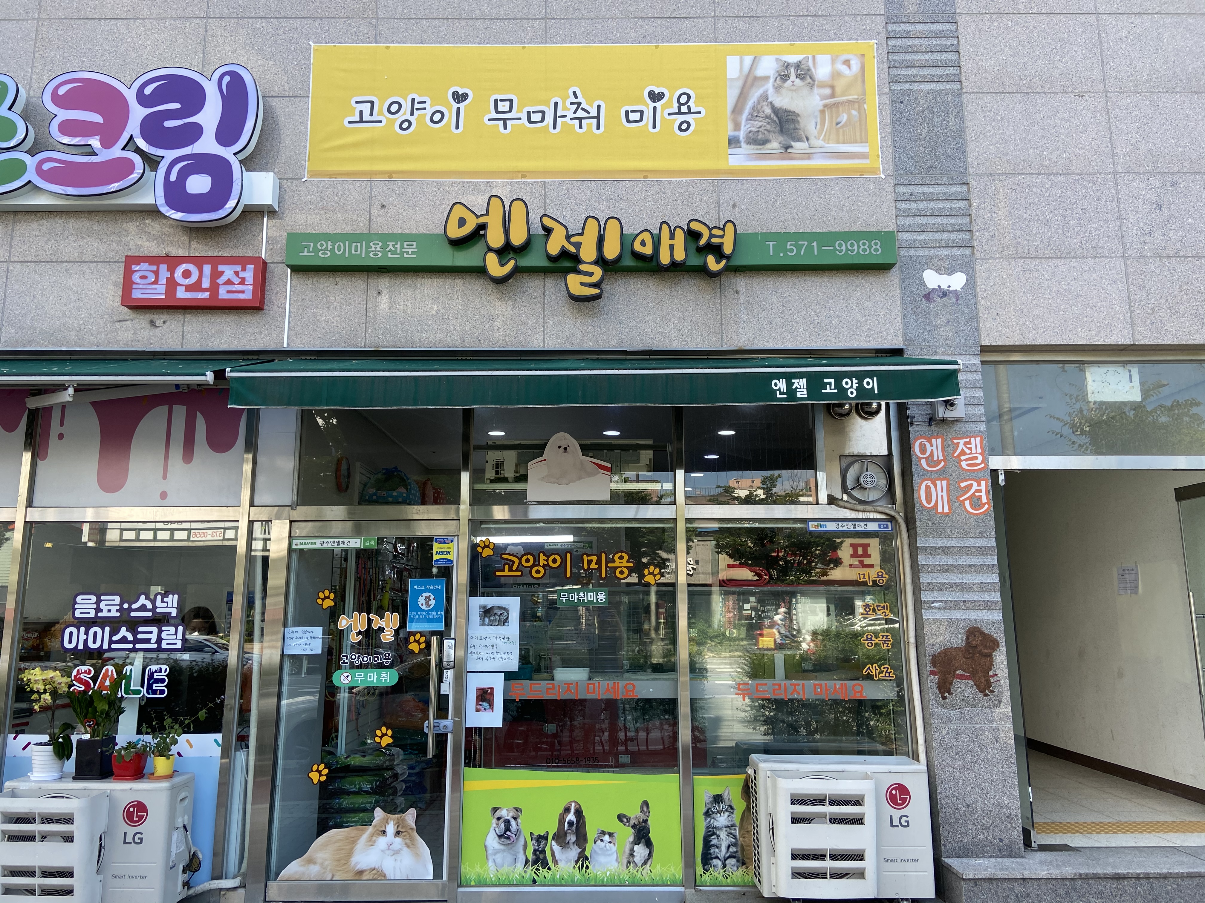 엔젤애견 대표 이미지