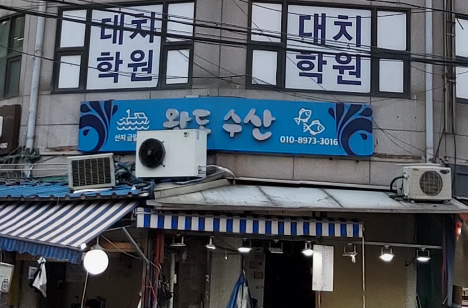 완도수산