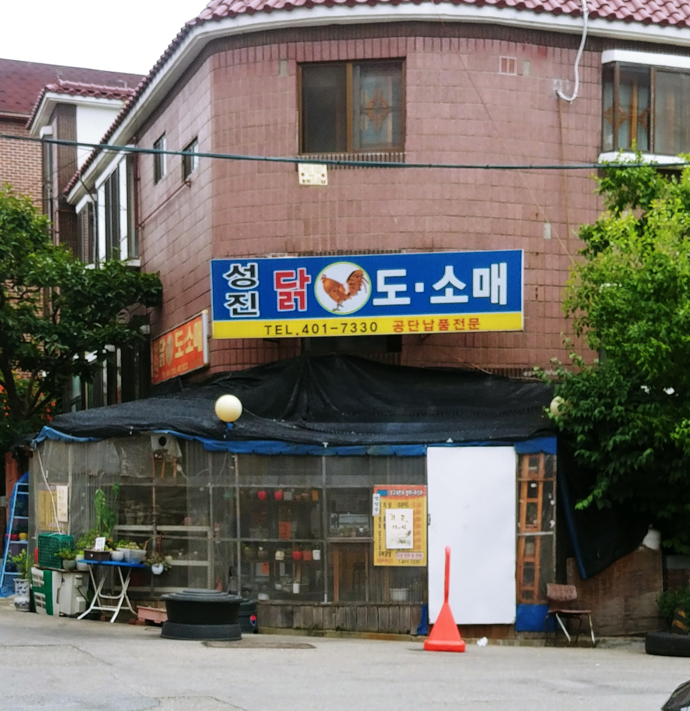 성진닭도소매