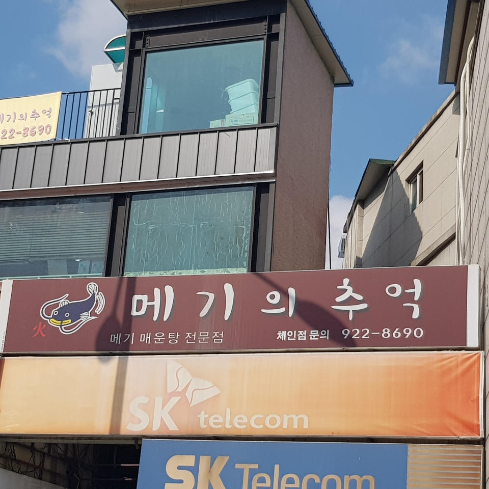 메기의추억