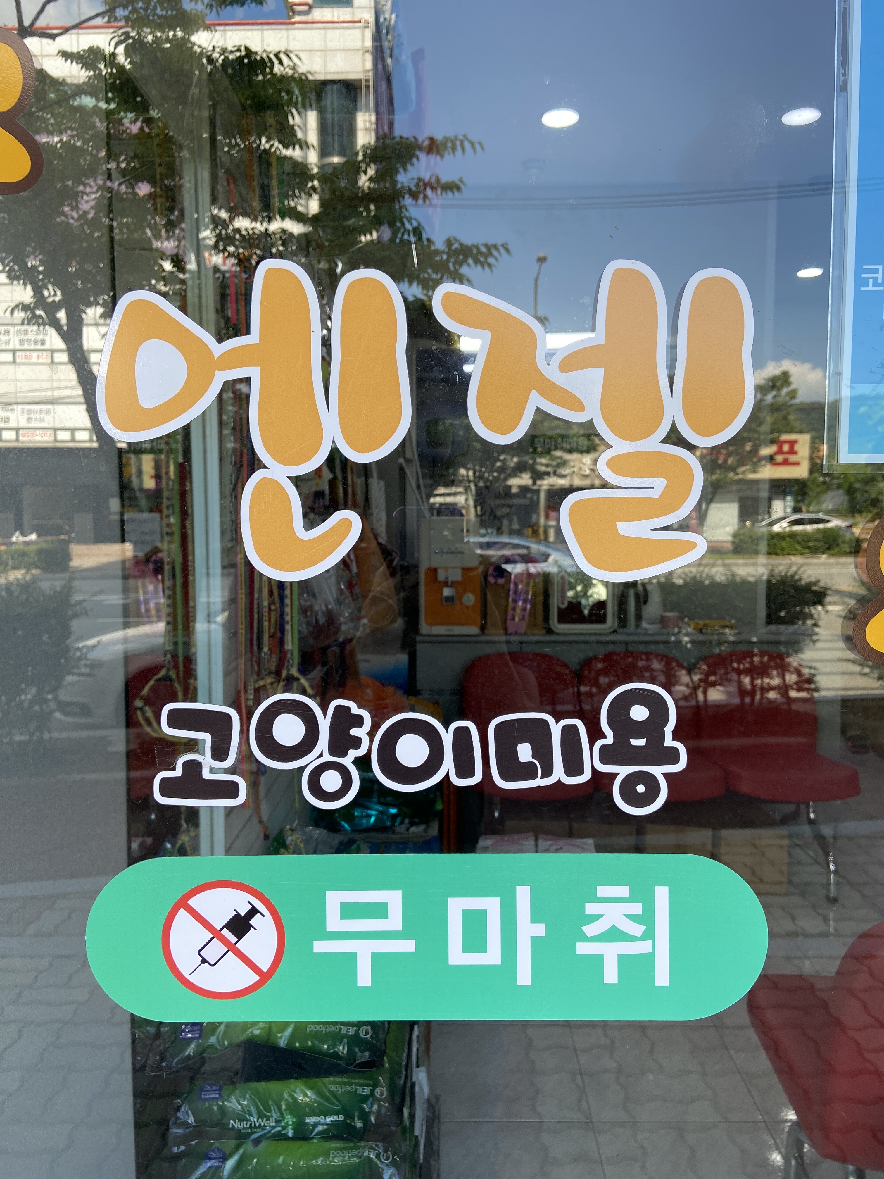 엔젤애견 대표 이미지