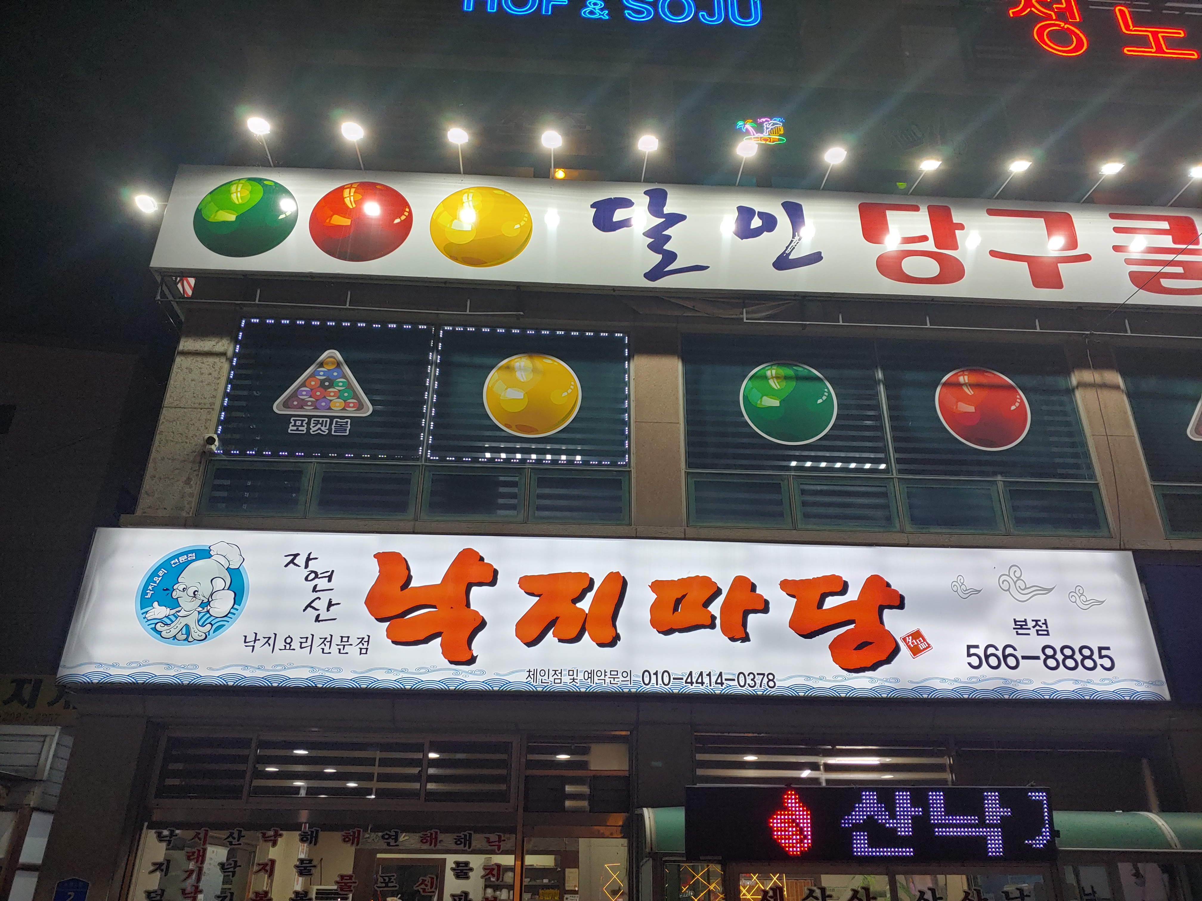 자연산낙지마당