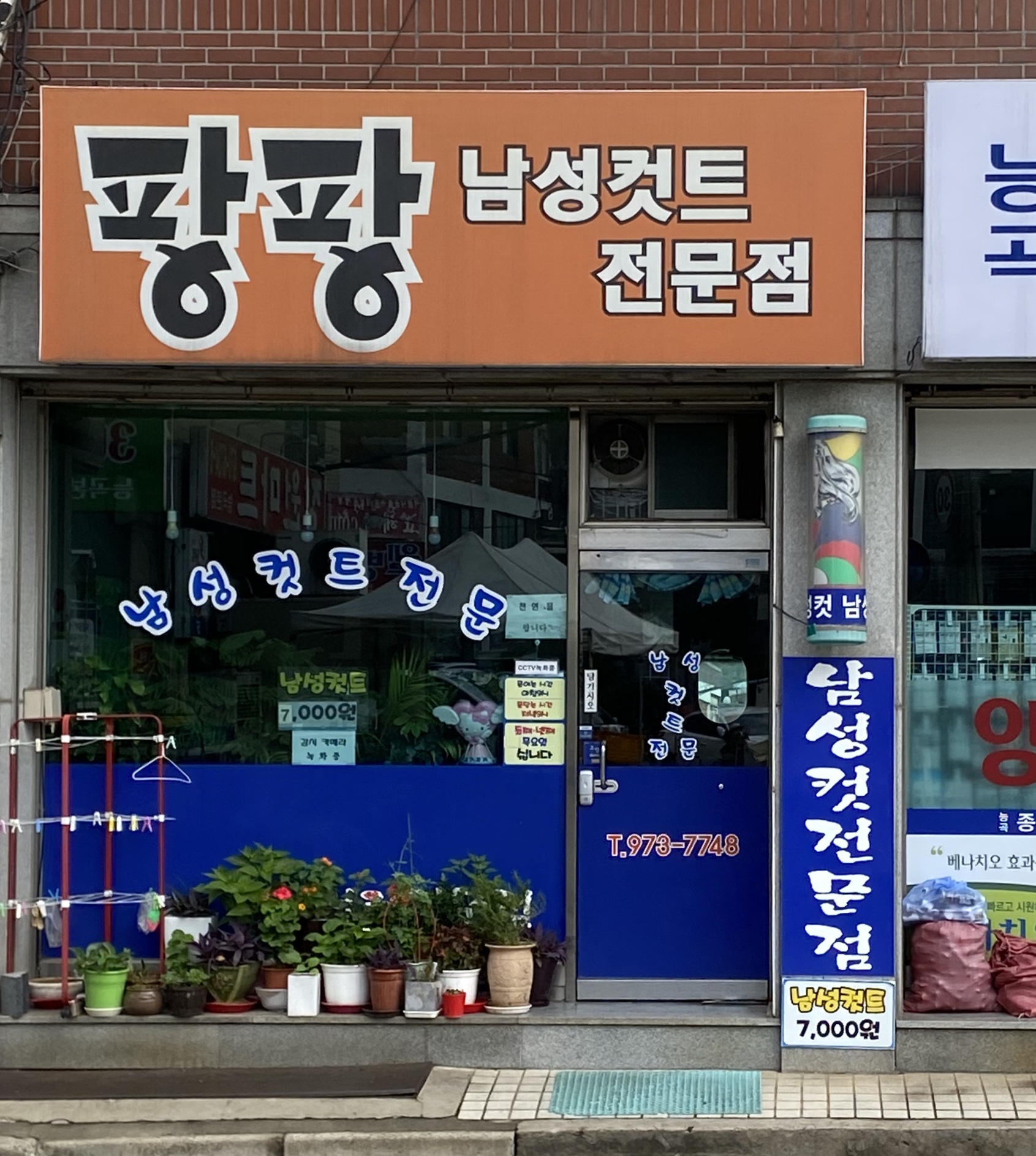 팡팡 컷 전문점