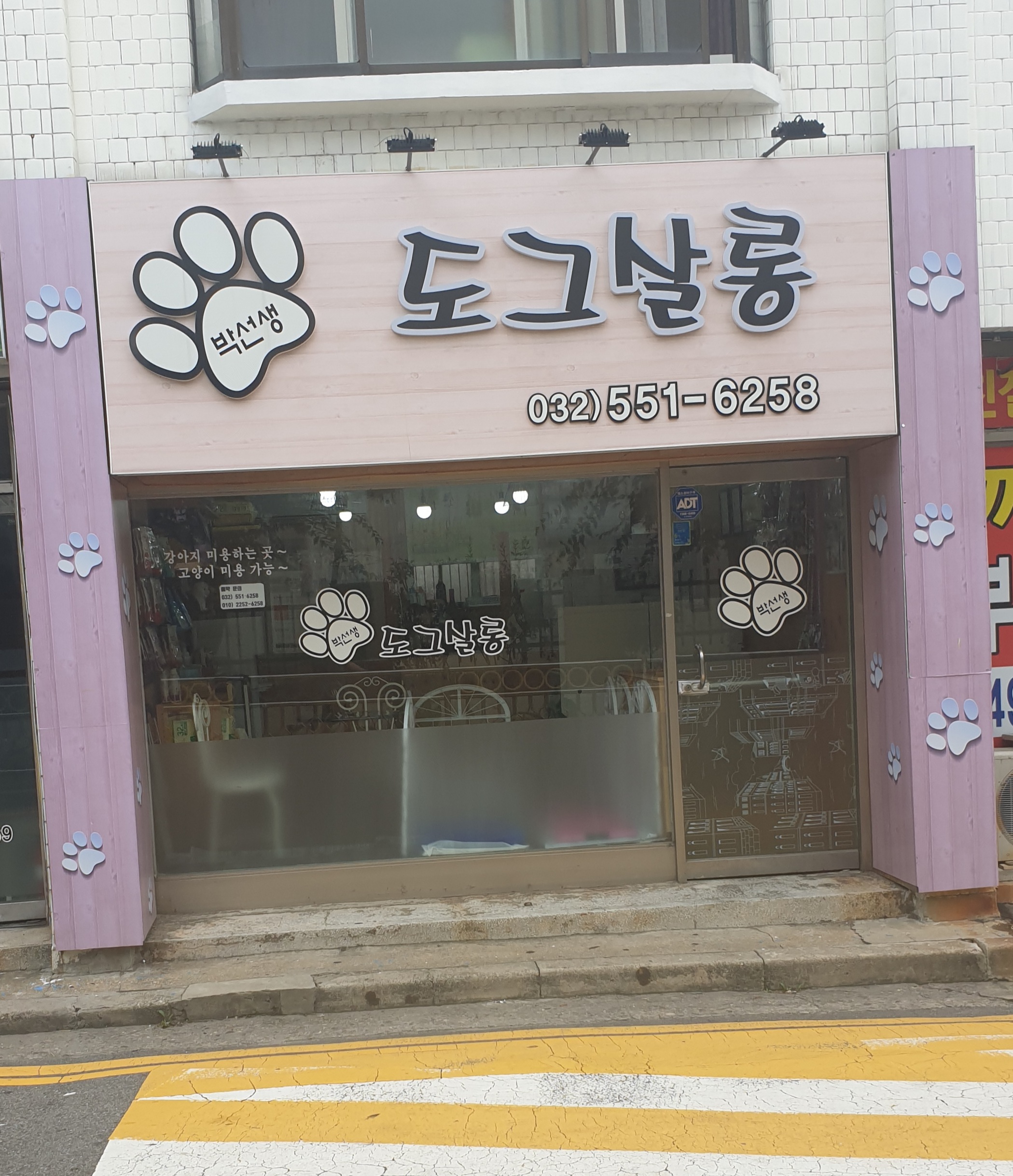 박선생도그살롱 대표 이미지