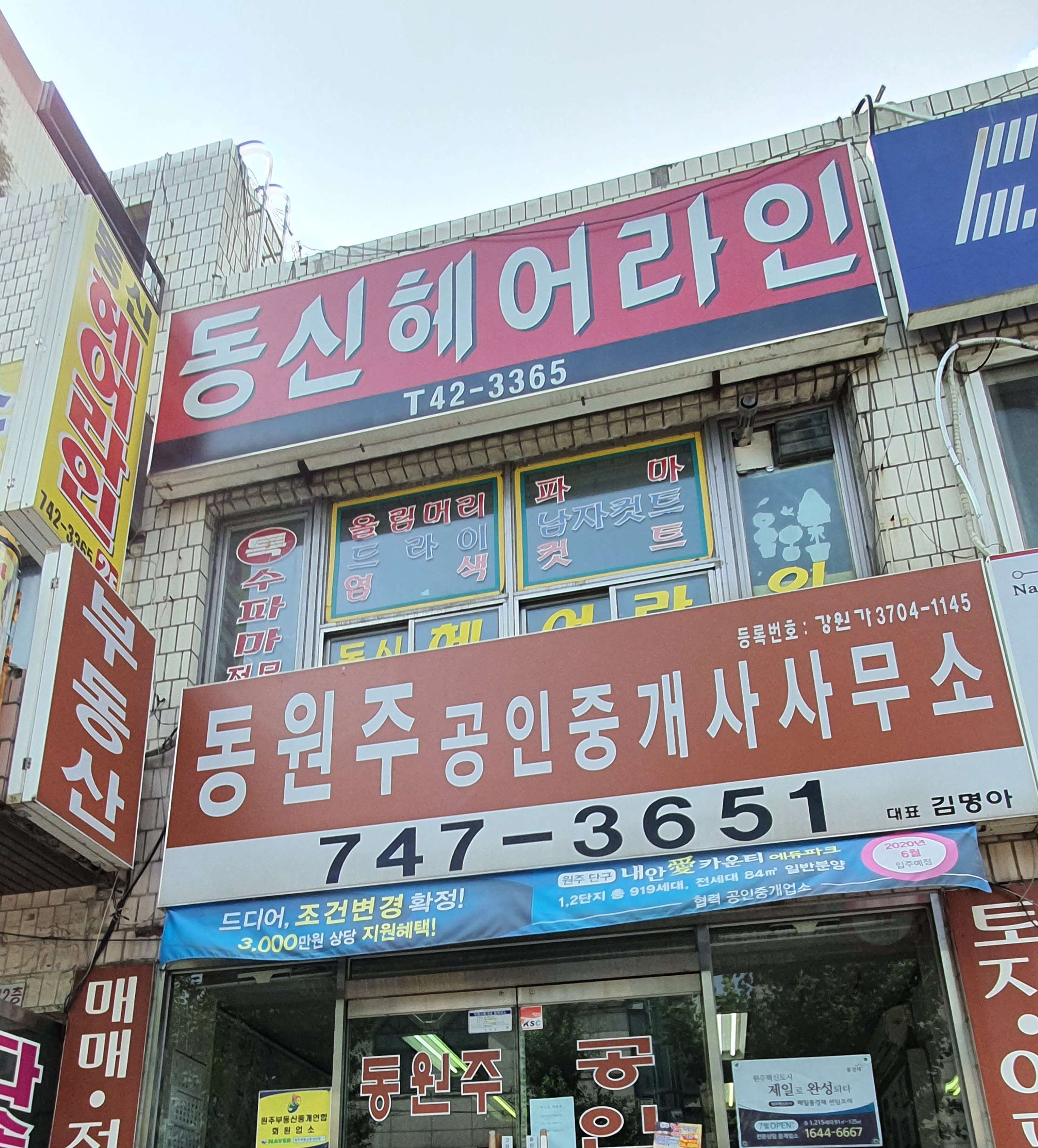 동신헤어라인