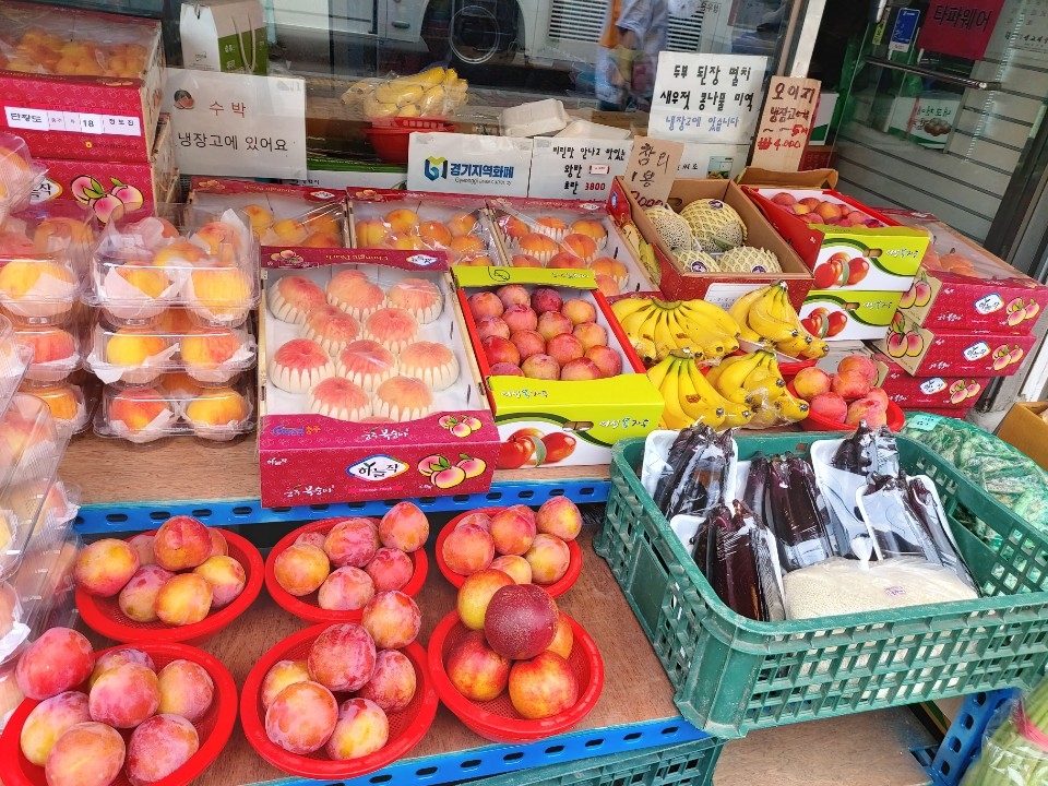 예산청과야채