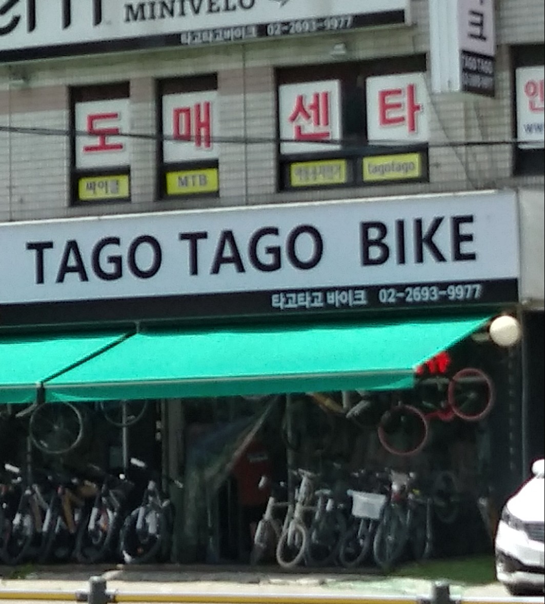 타고타고 대표 이미지