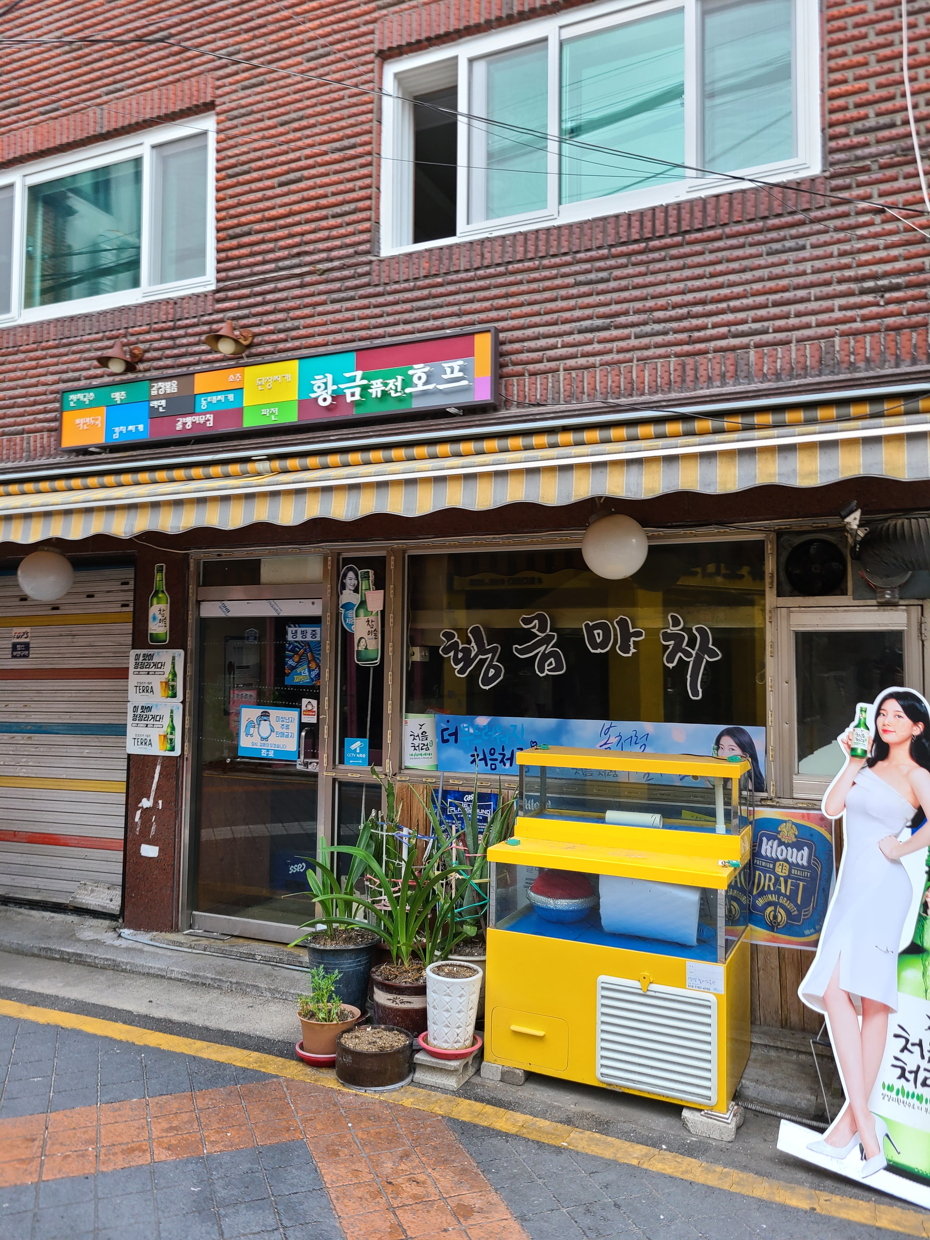 황금퓨전호프