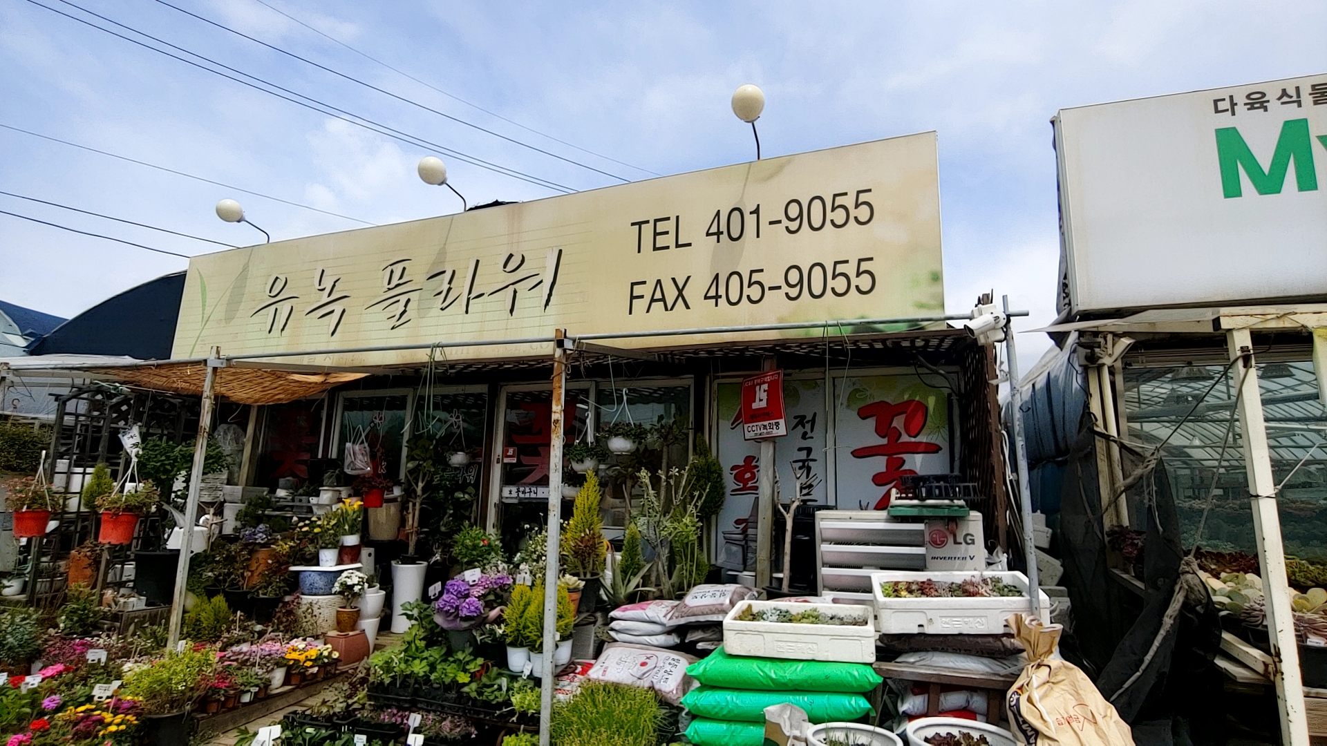 유녹플라워