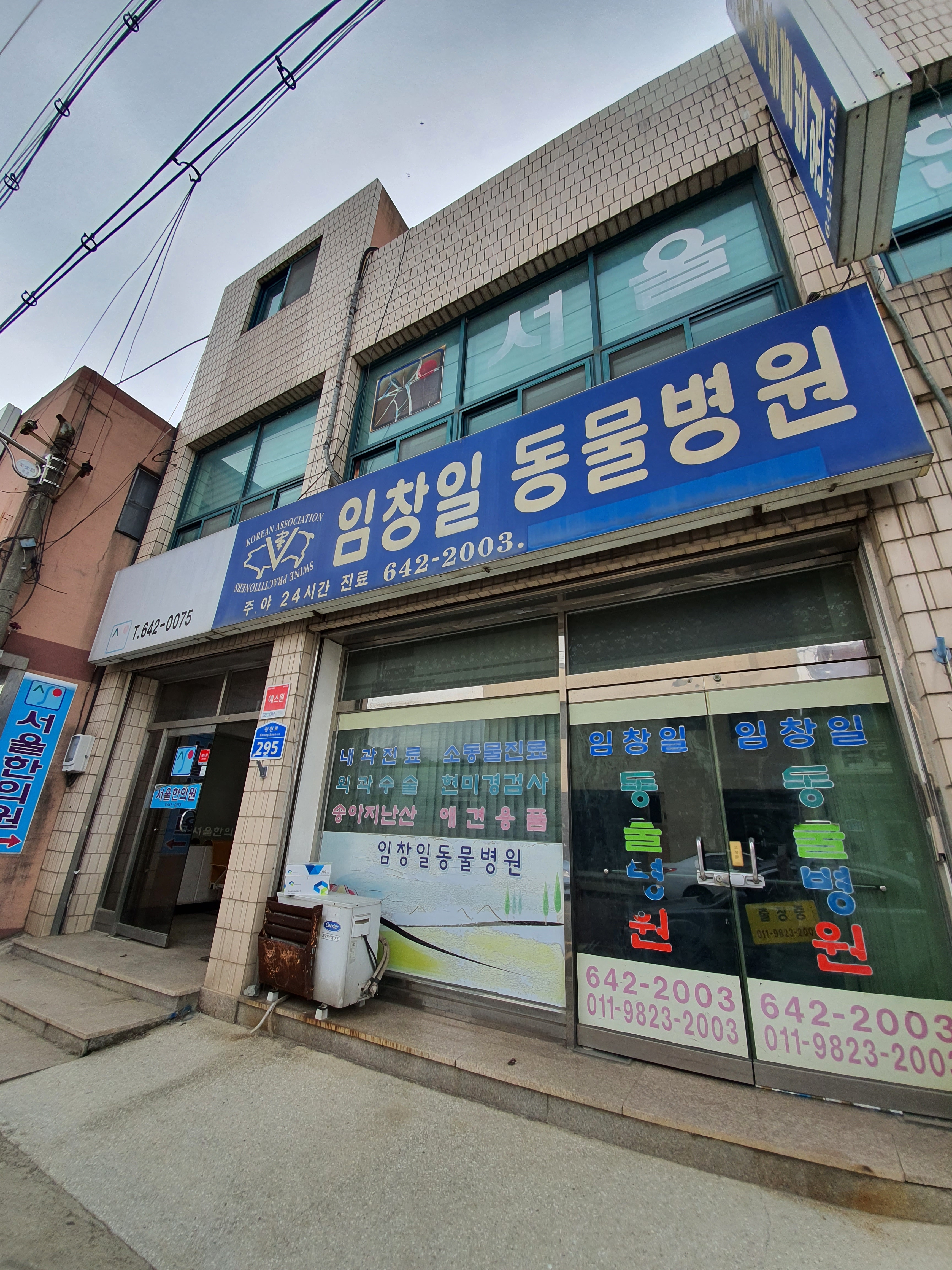 임창일 동물병원 대표 이미지