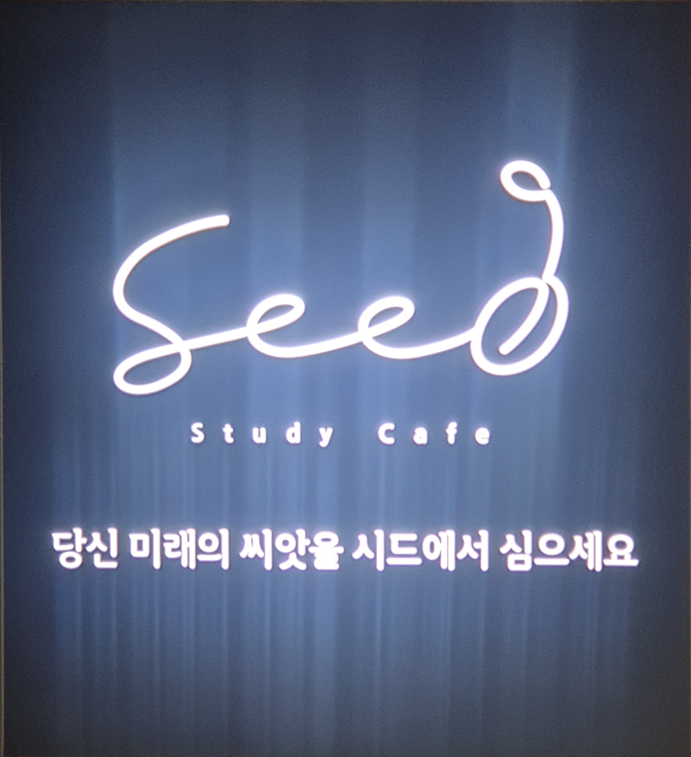 업체사진