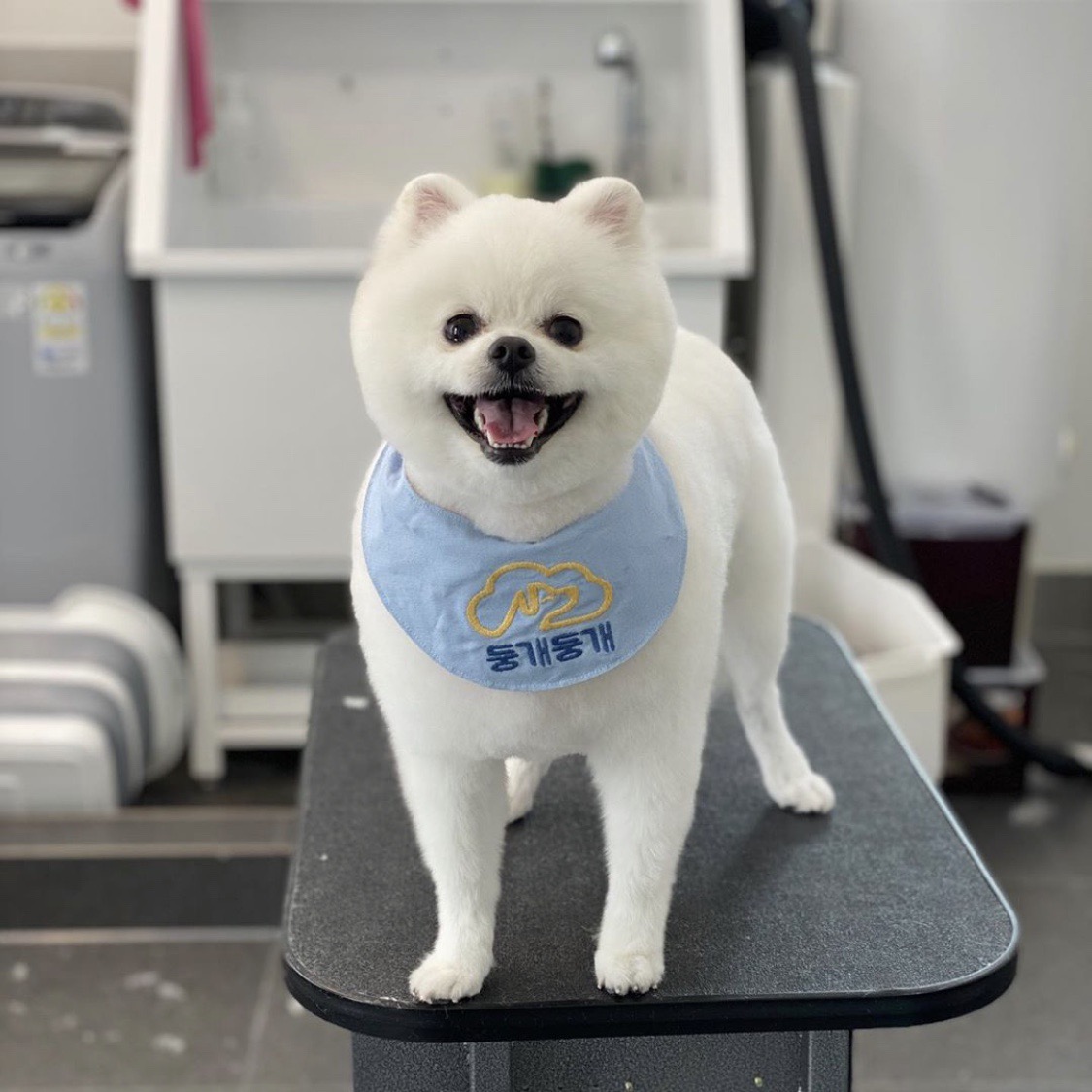 둥개둥개 대표 이미지