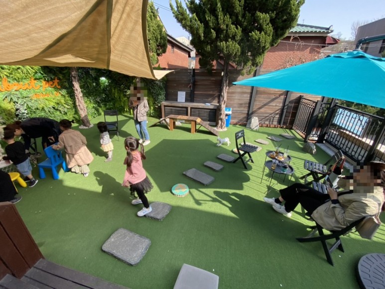 펌킨 펫하우스 청담 대표 이미지