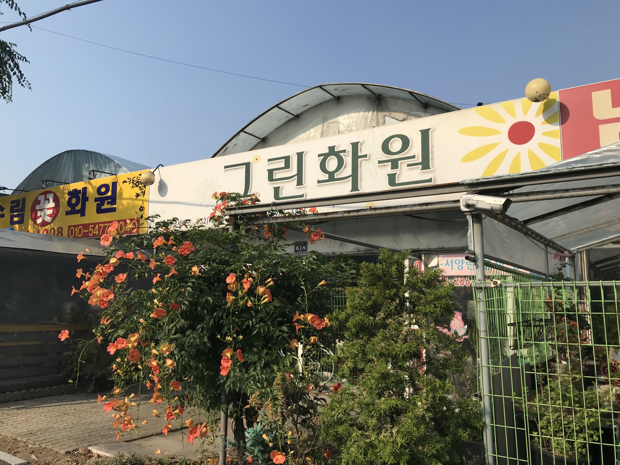 그린화원