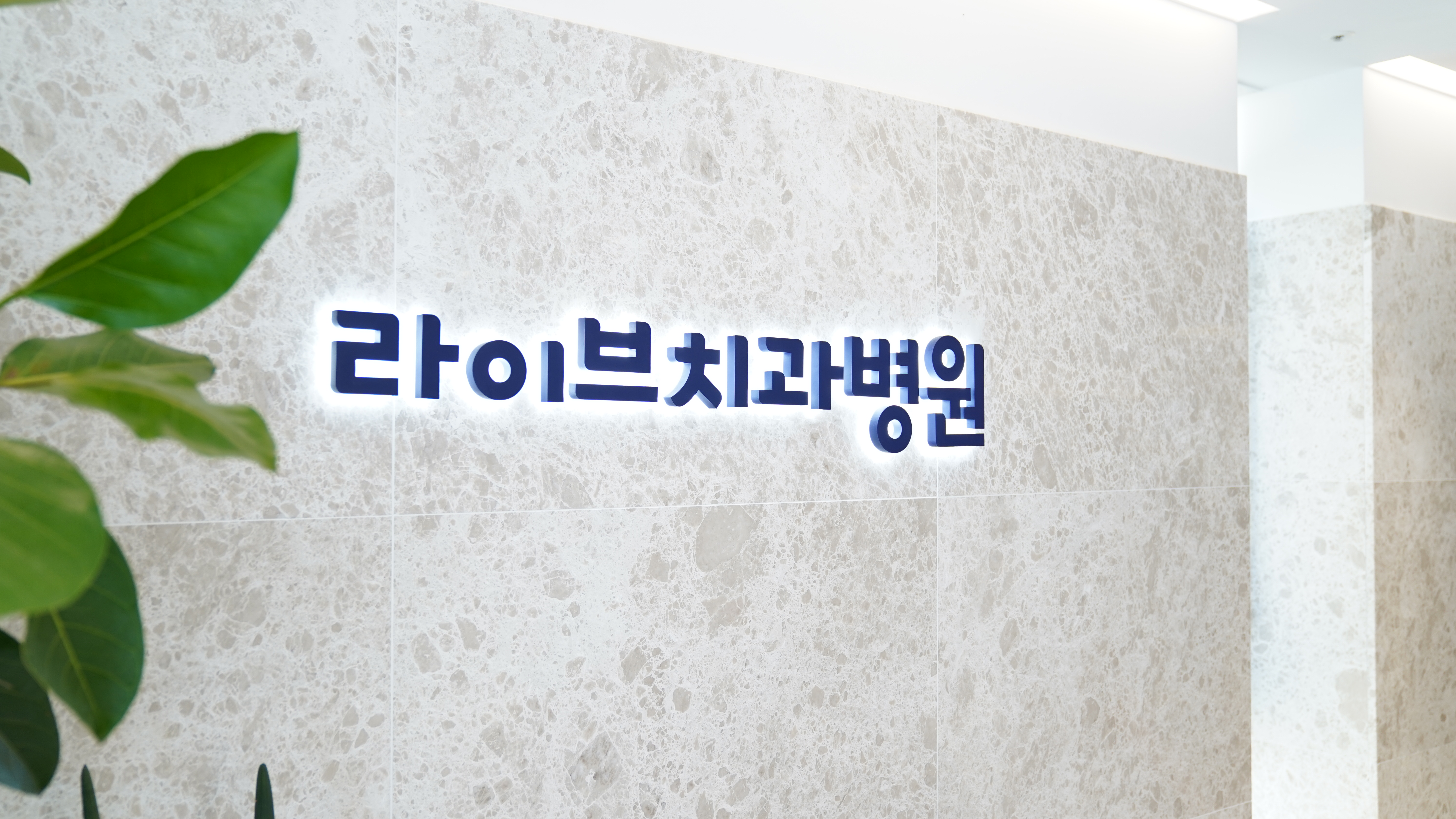라이브치과병원 서울강남 대표 이미지