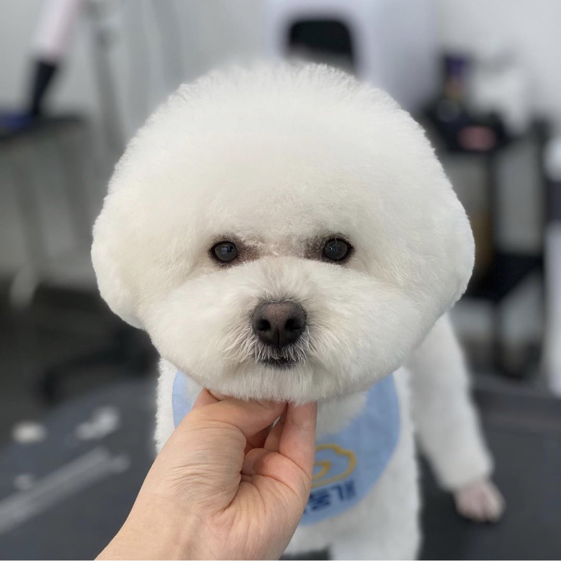 둥개둥개 대표 이미지