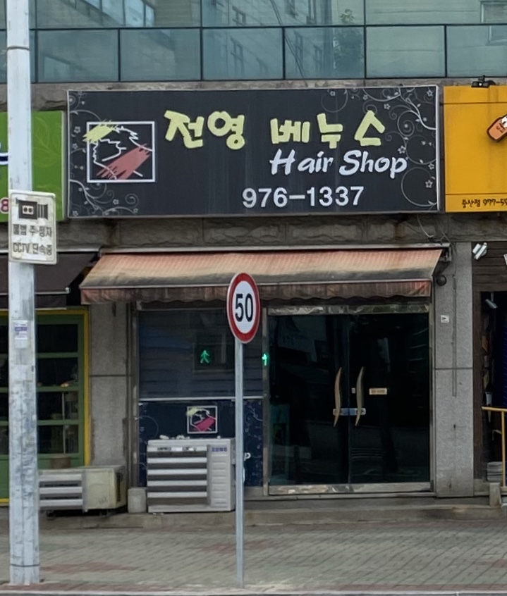 전영베누스