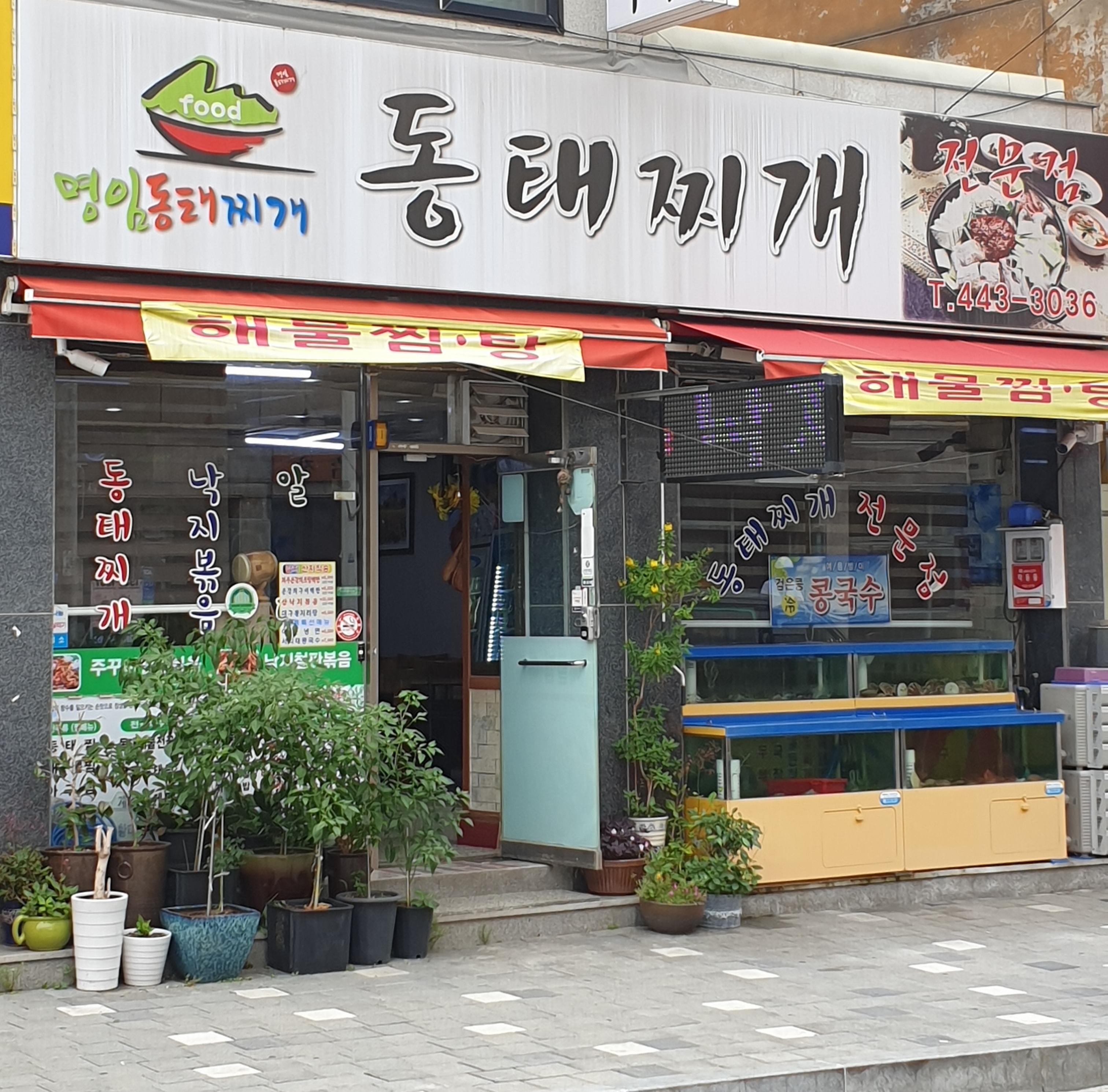 명임동태찌개