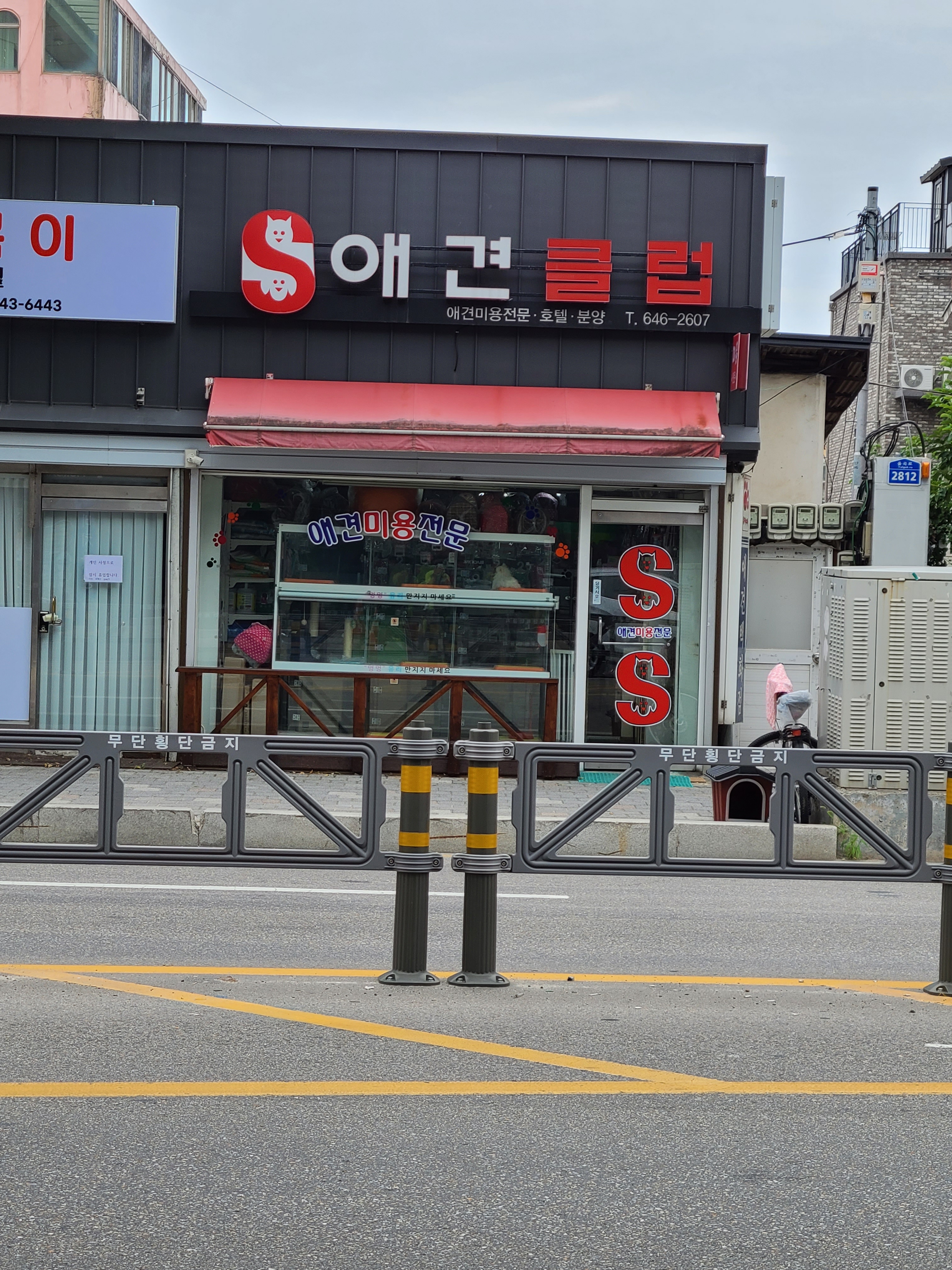 애견클럽 대표 이미지