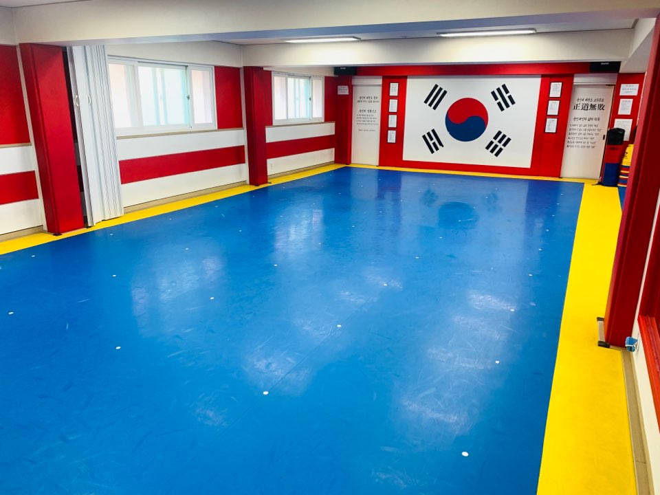 용인대태권도