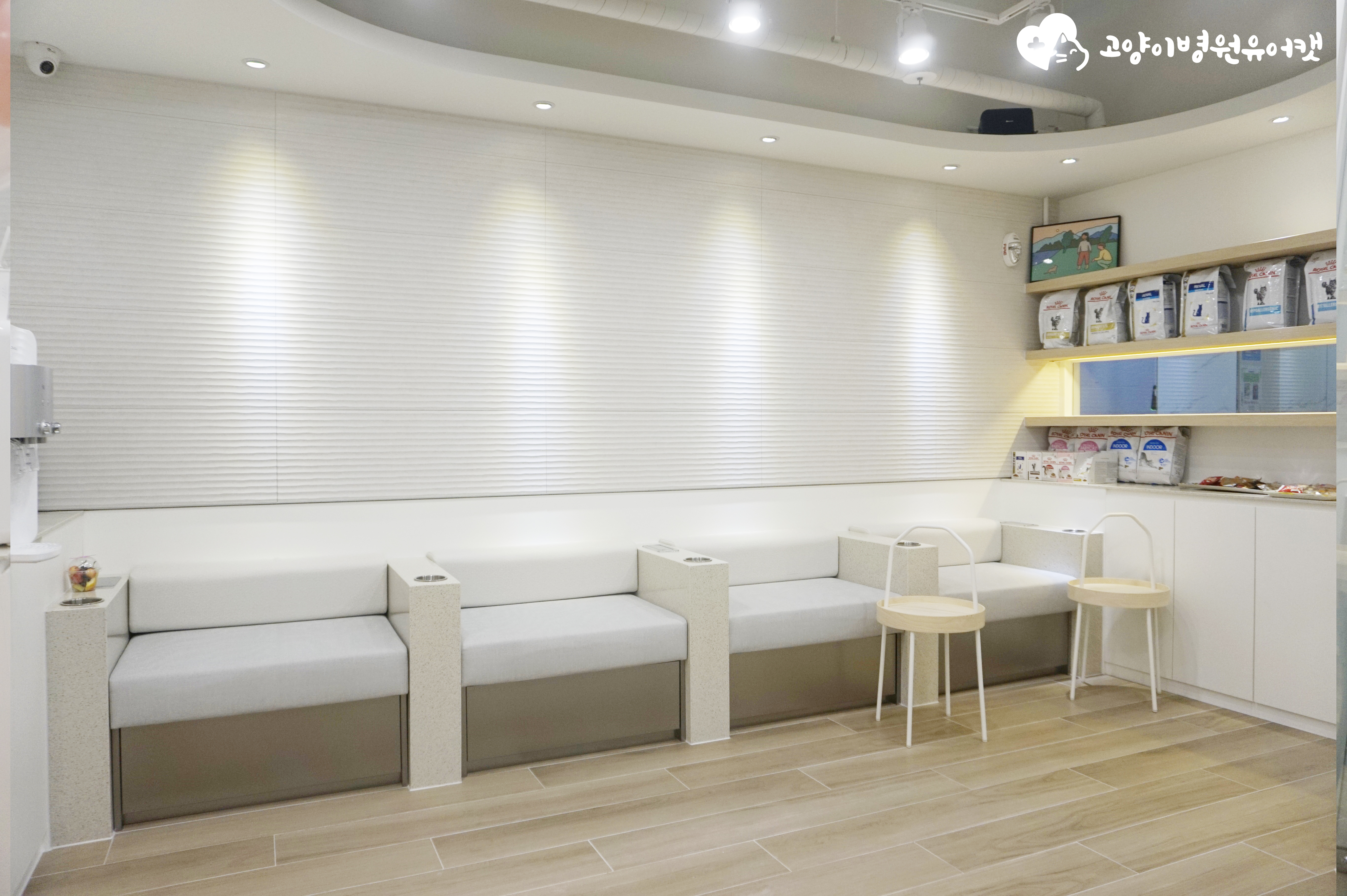 유어캣고양이병원 대표 이미지