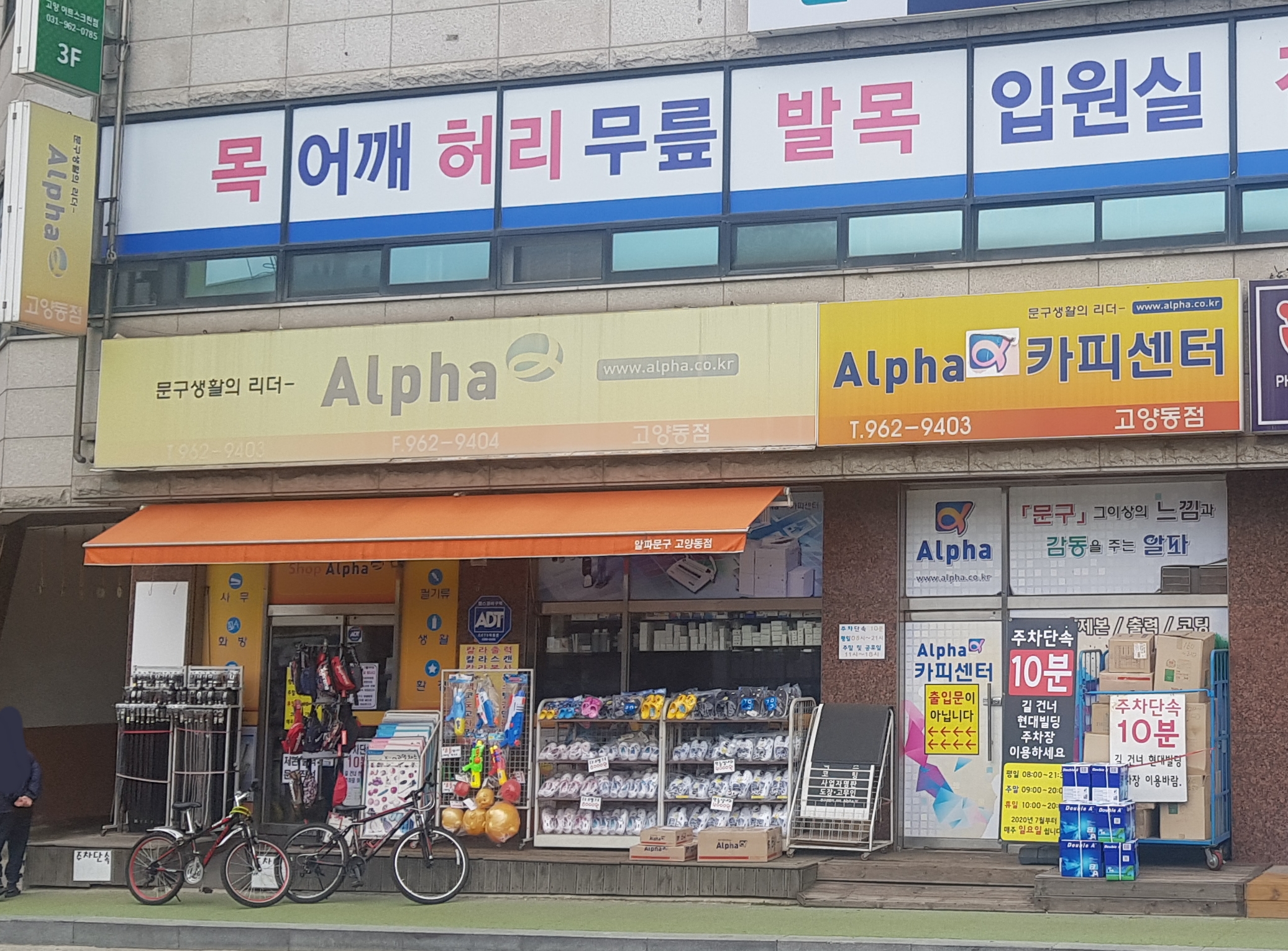 알파 고양동점