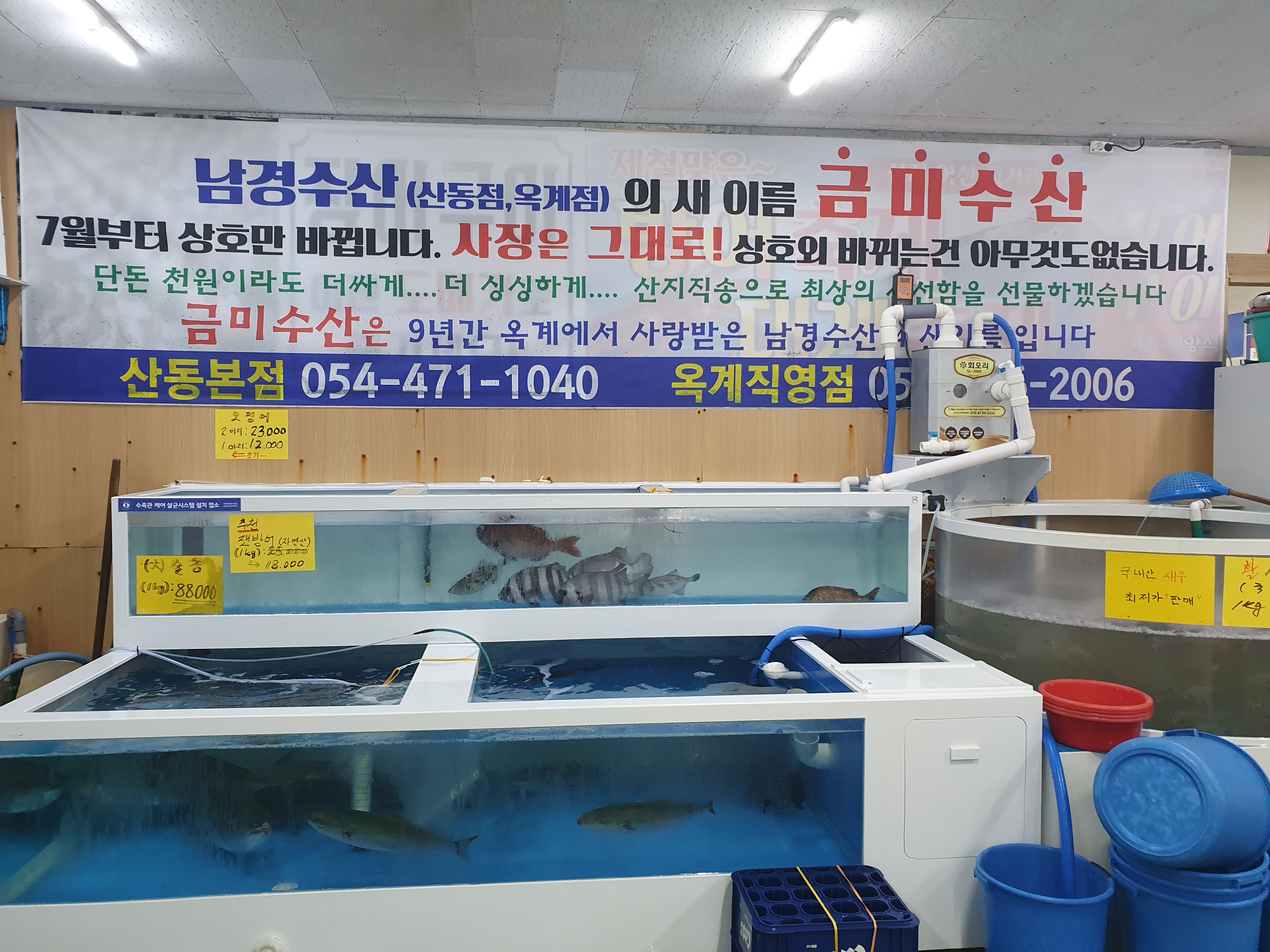 금미수산