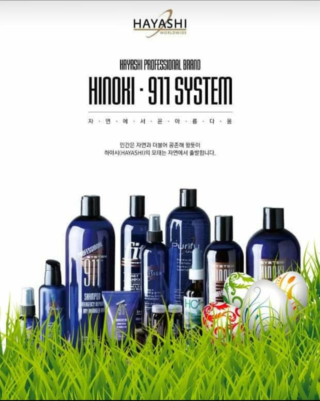 미쉘리프로헤어