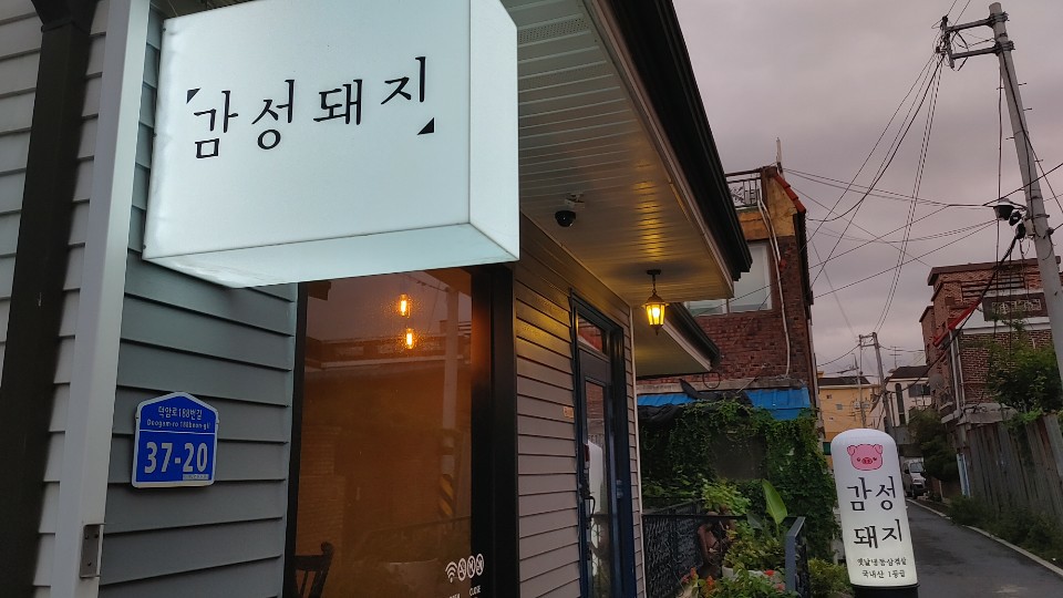 감성돼지