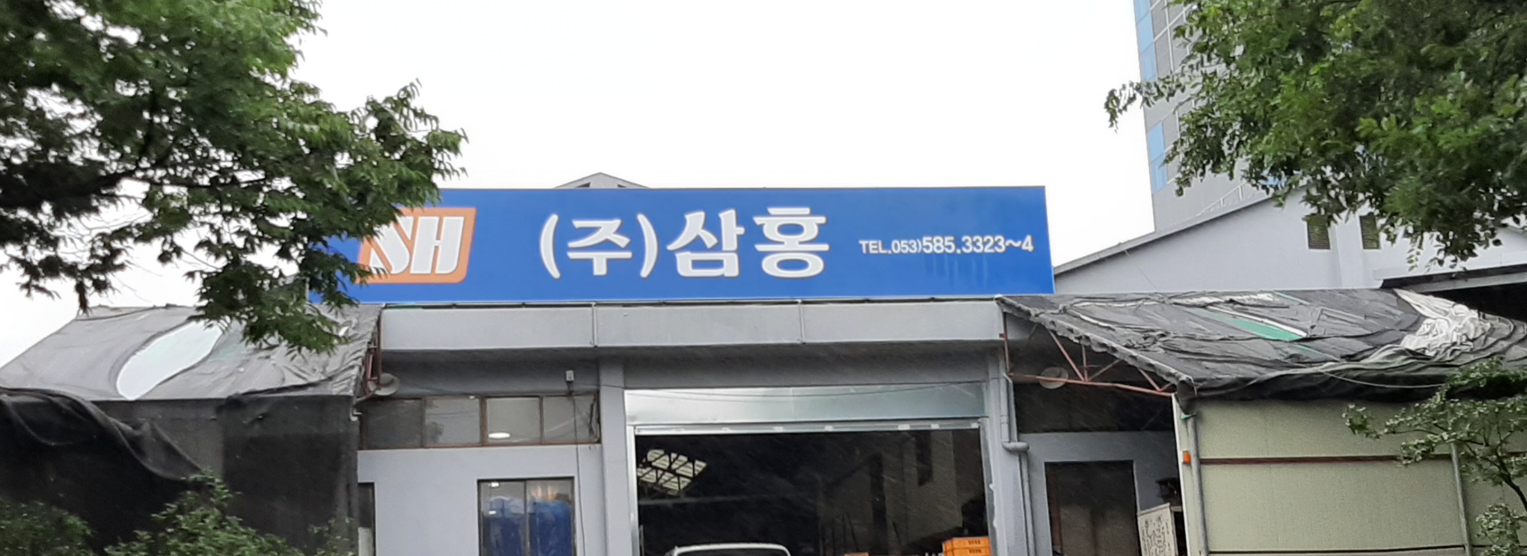 삼홍