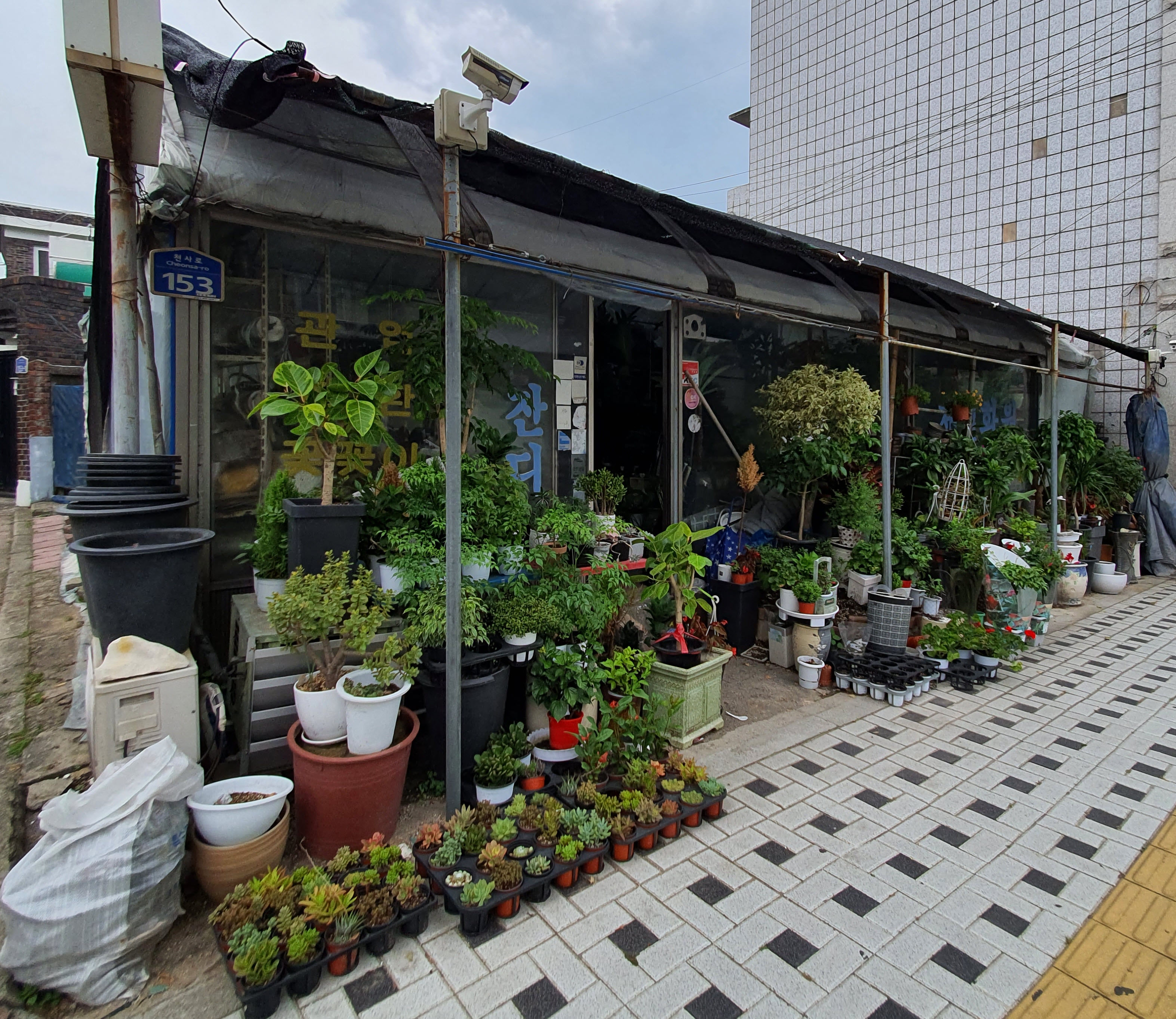 제일화원