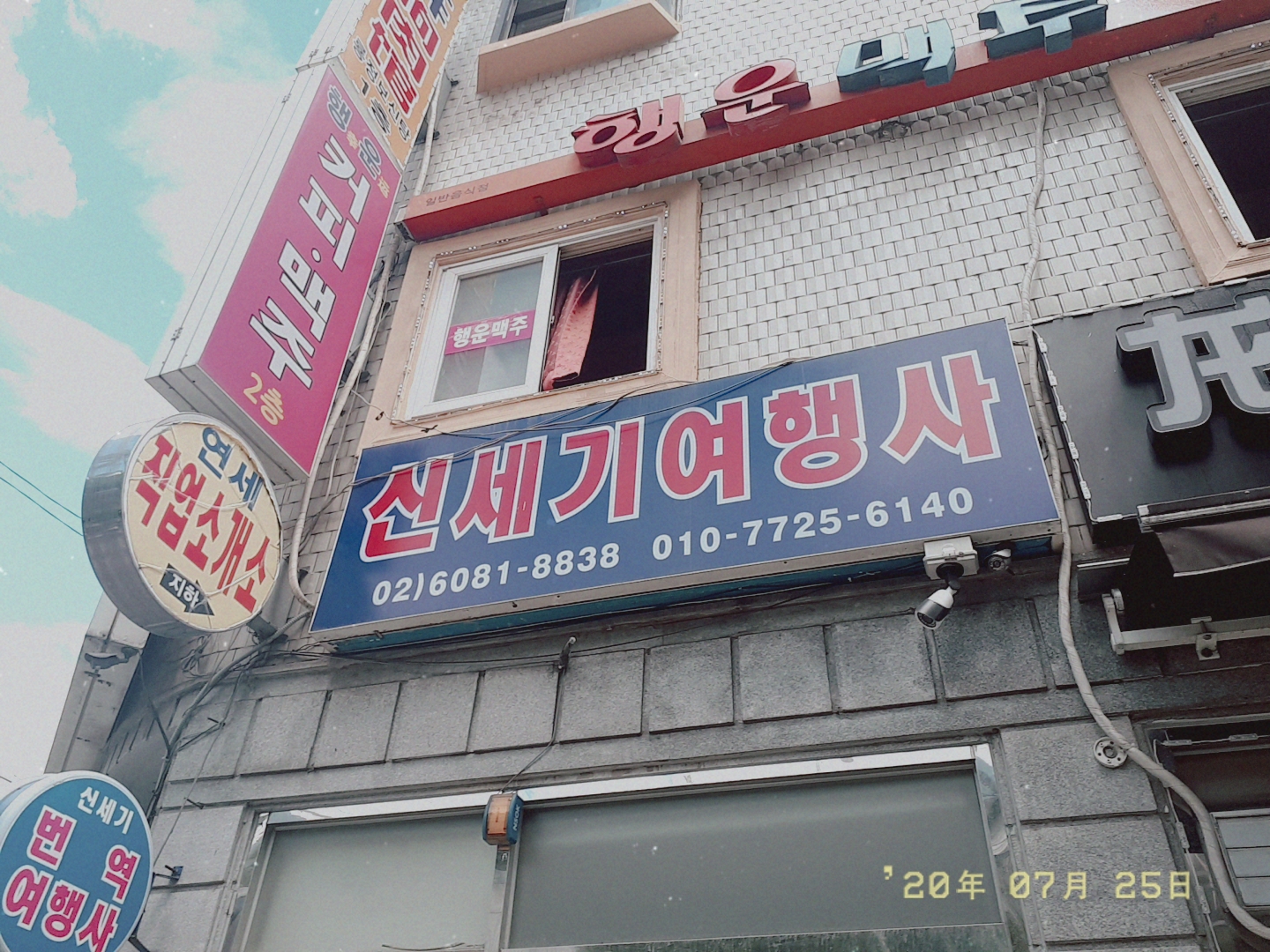 신세기번역