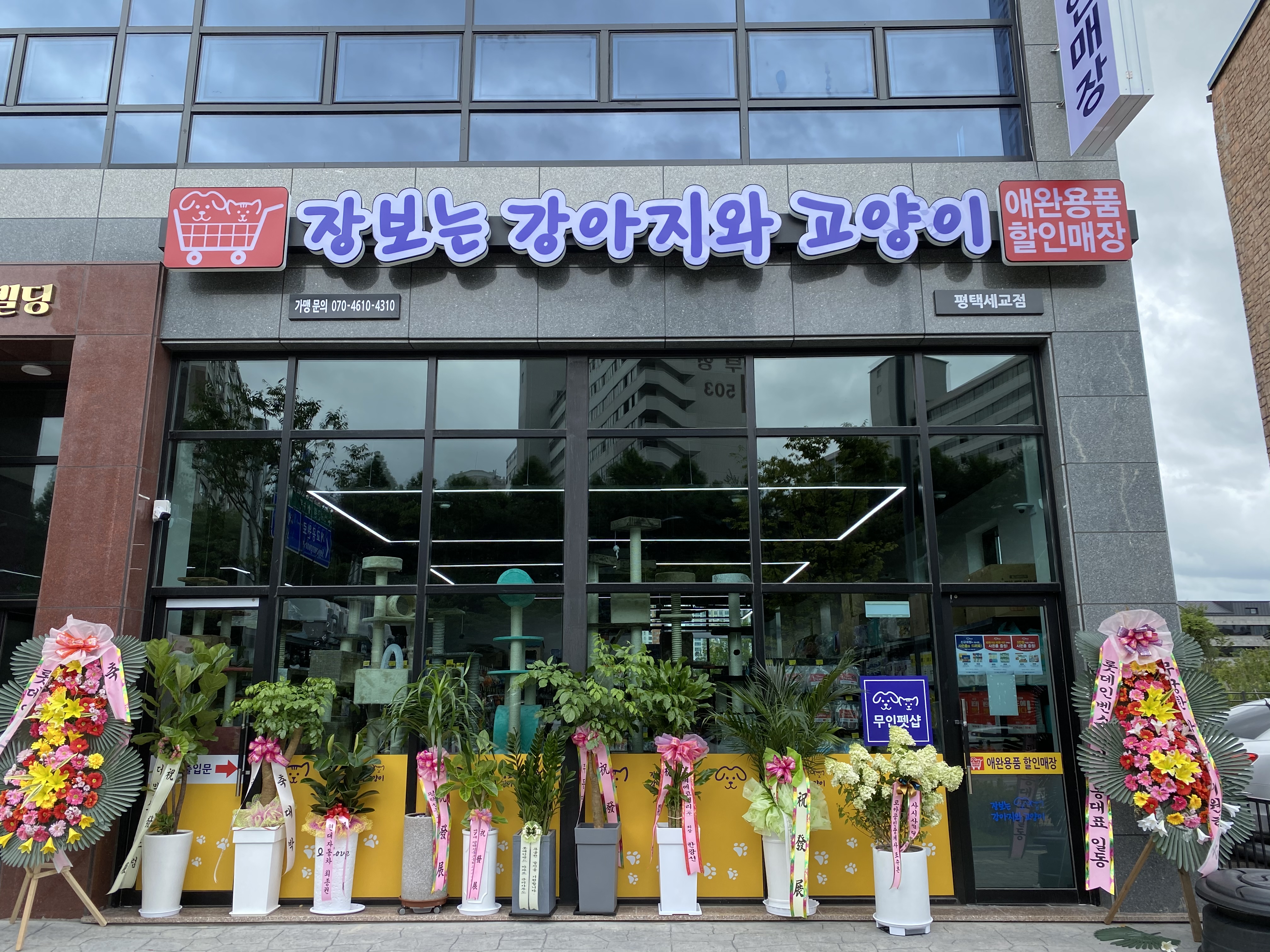 장보는강아지와고양이 평택세교점