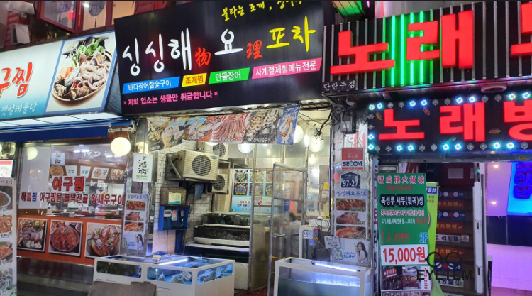 싱싱해요포차