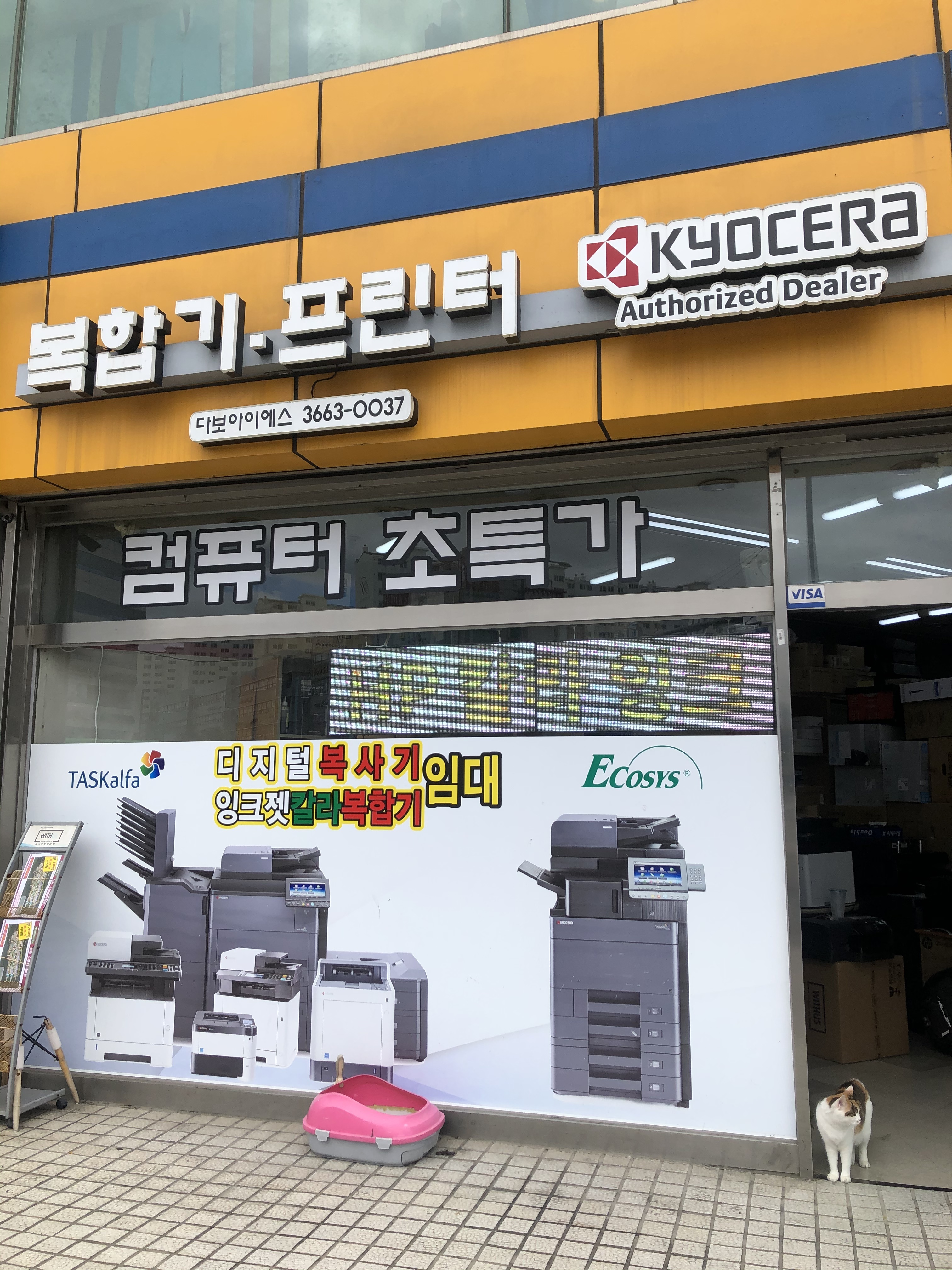 다보아이에스
