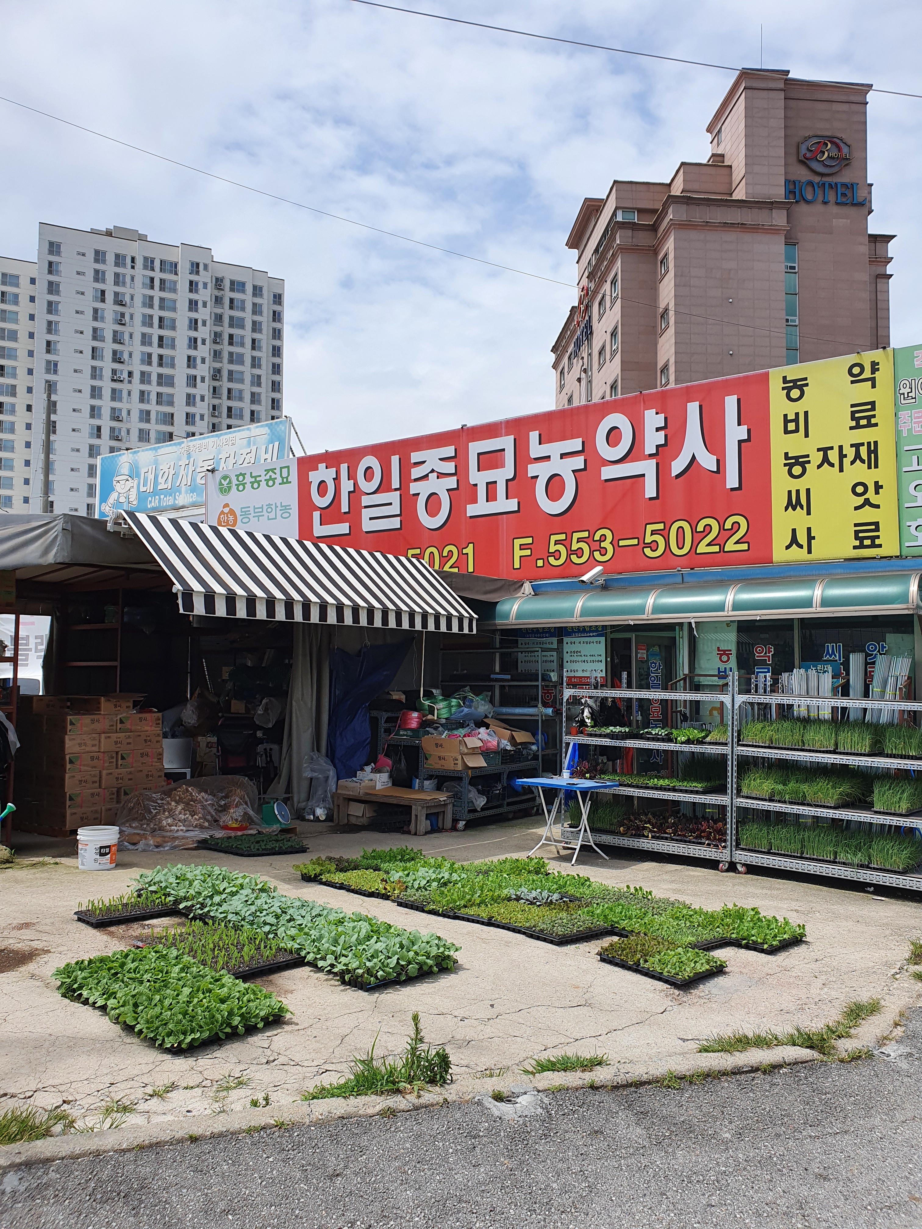 한일종묘농약사