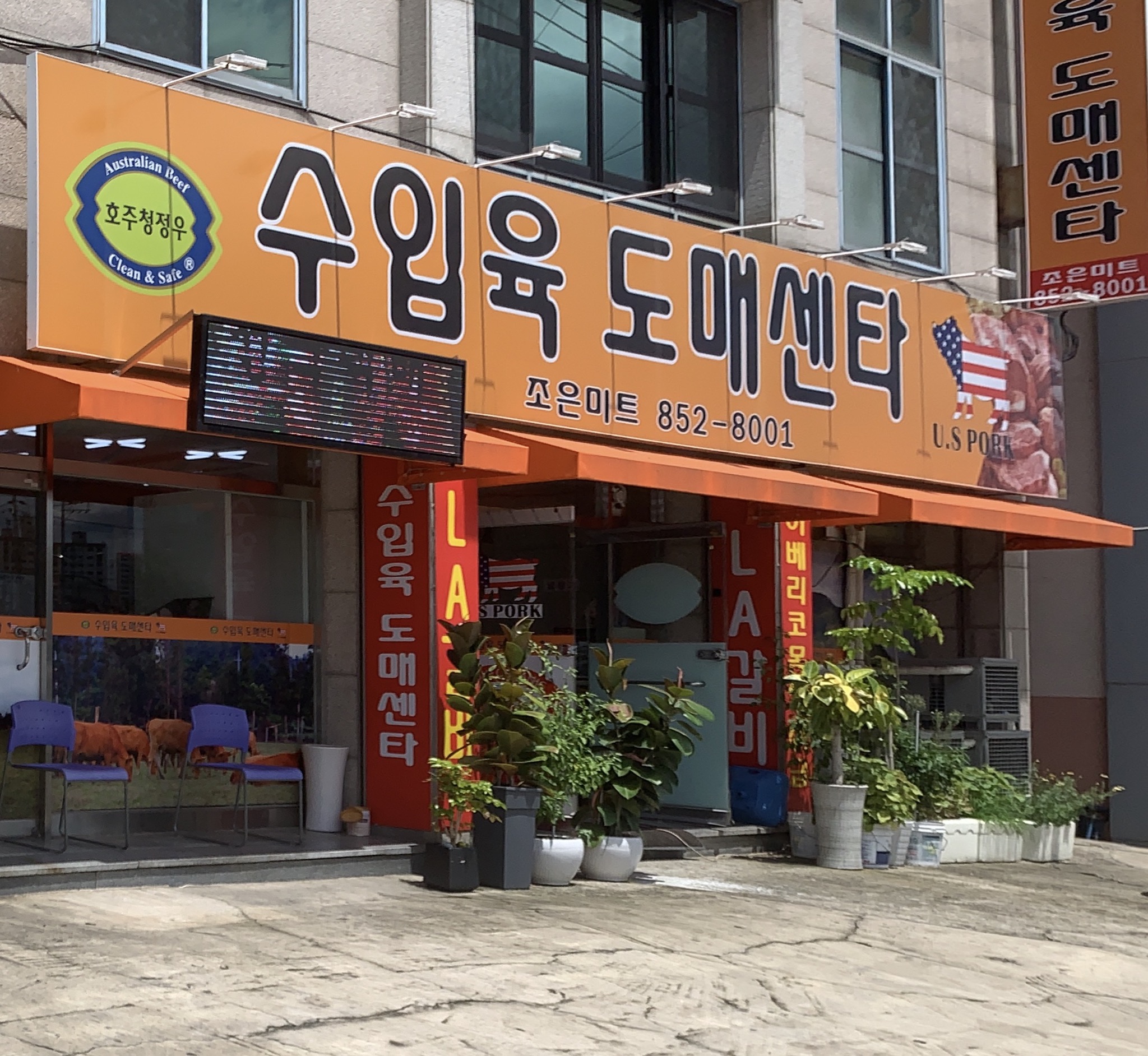 조은미트