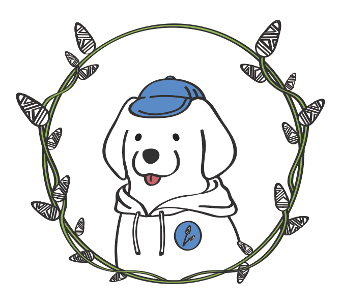 스튜디오코지 대표 이미지