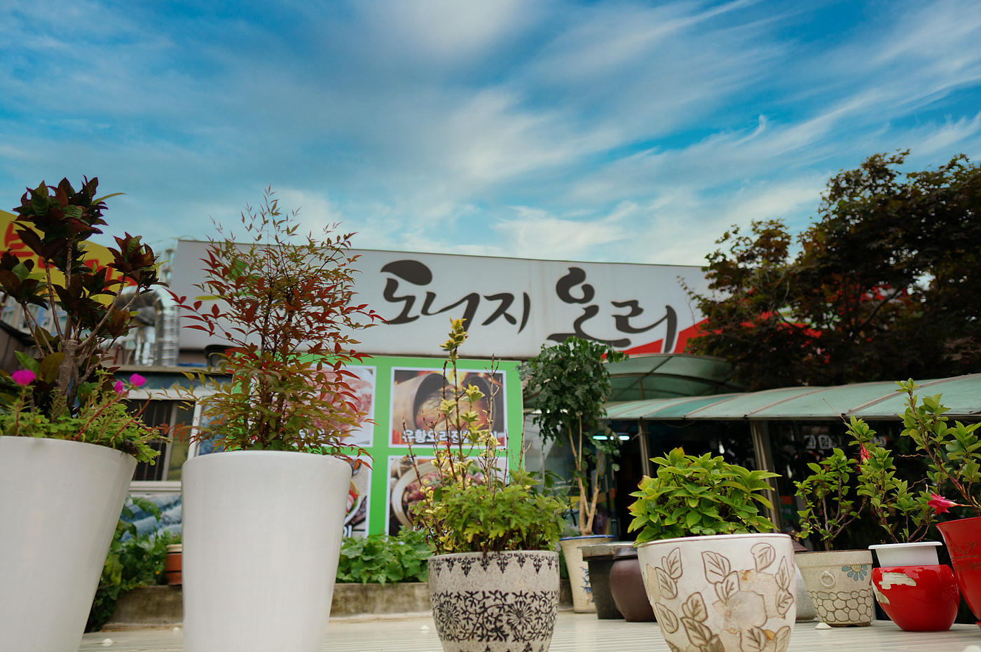 초록애 대방점