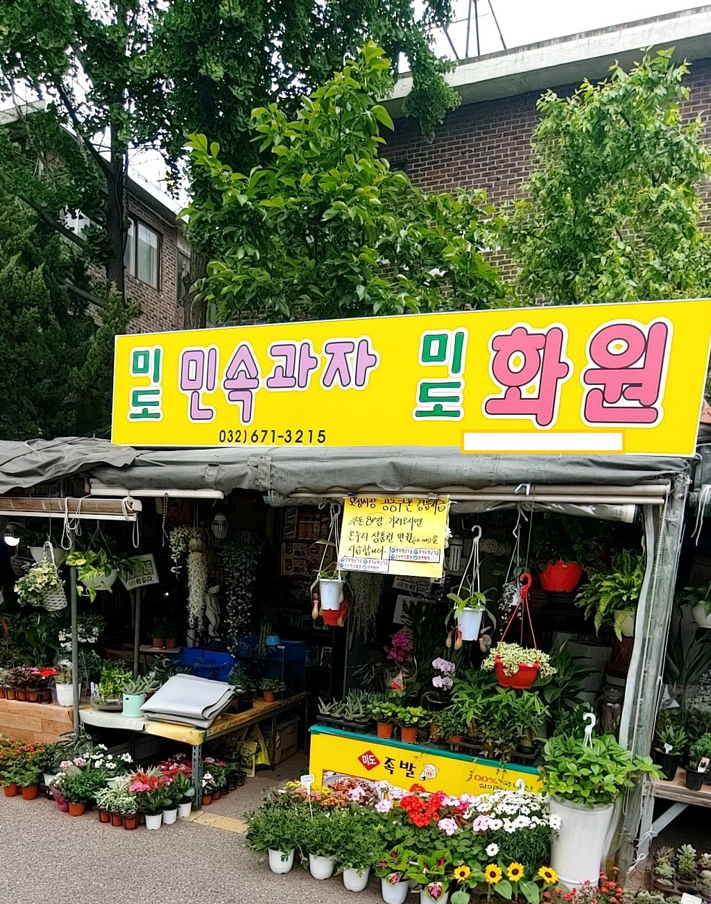 미도화원