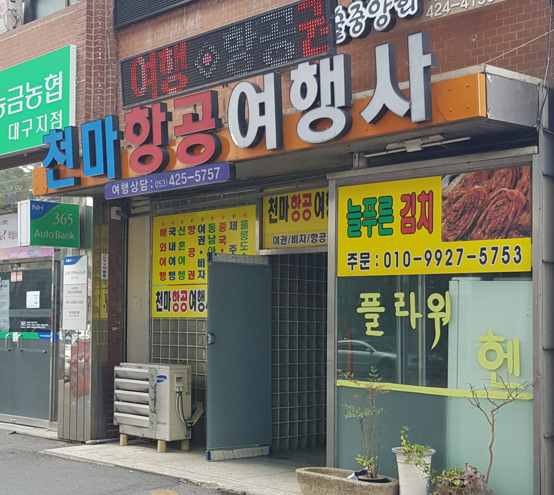 천마항공여행사