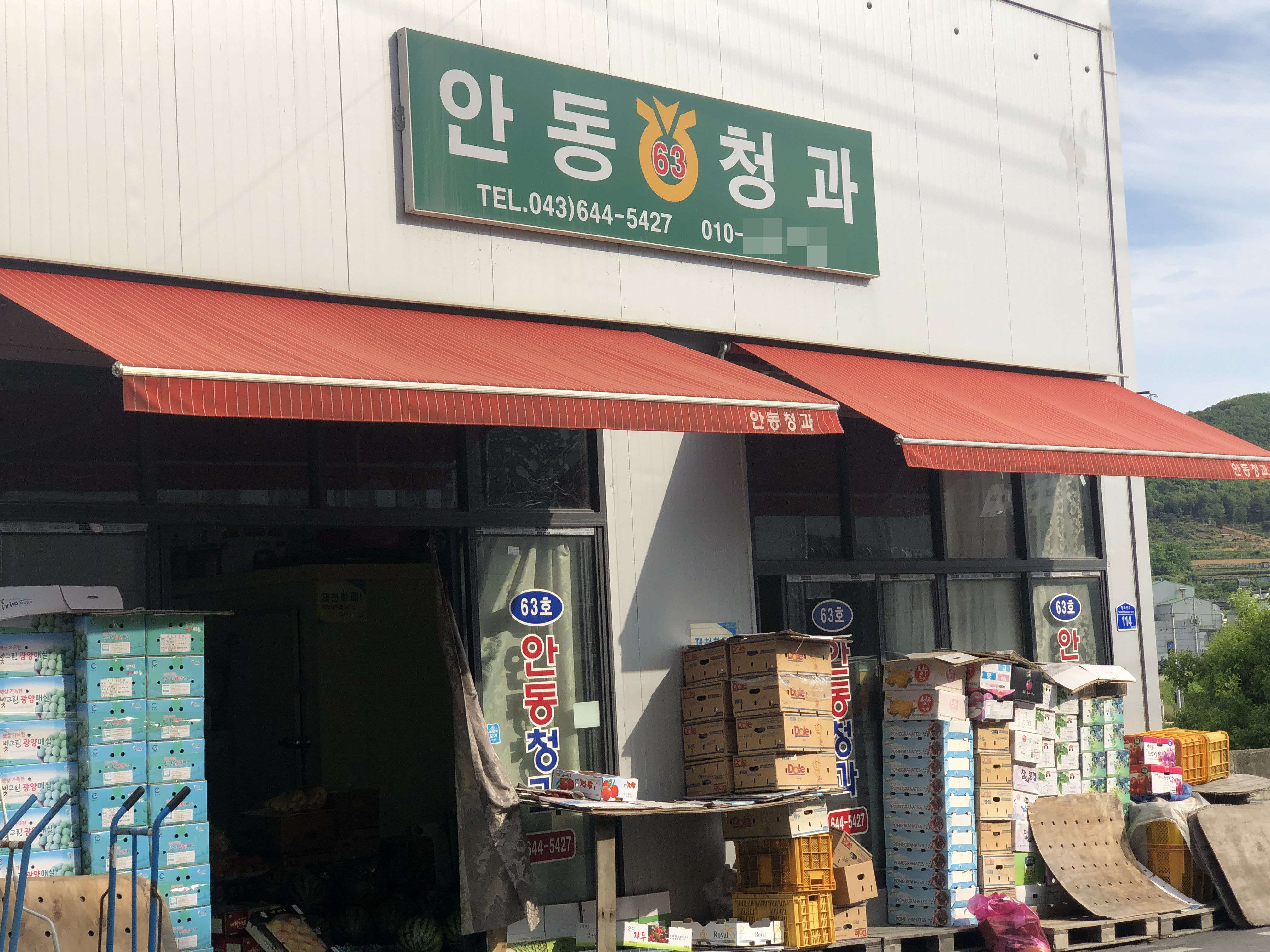 안동청과