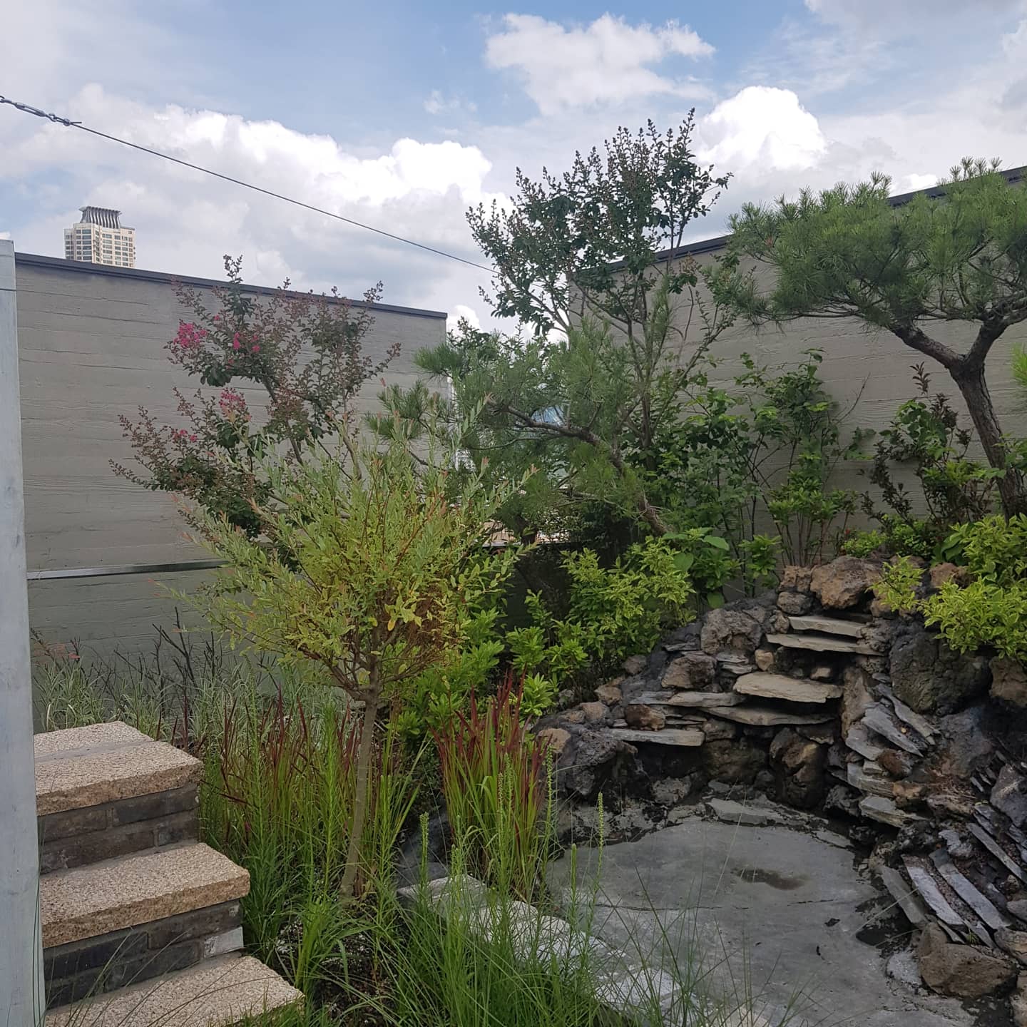 이지은웨딩갤러리 대표 이미지