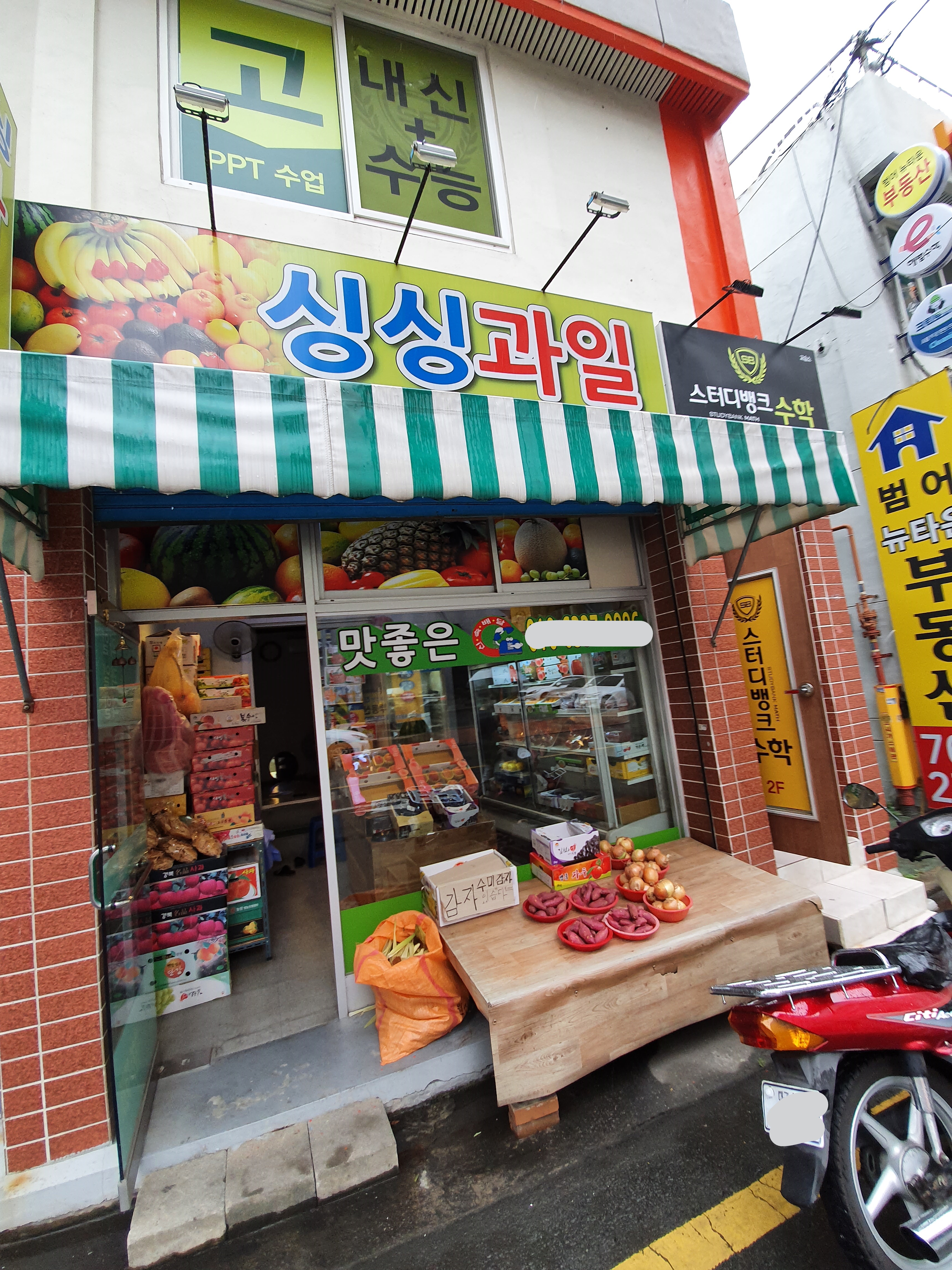 싱싱과일