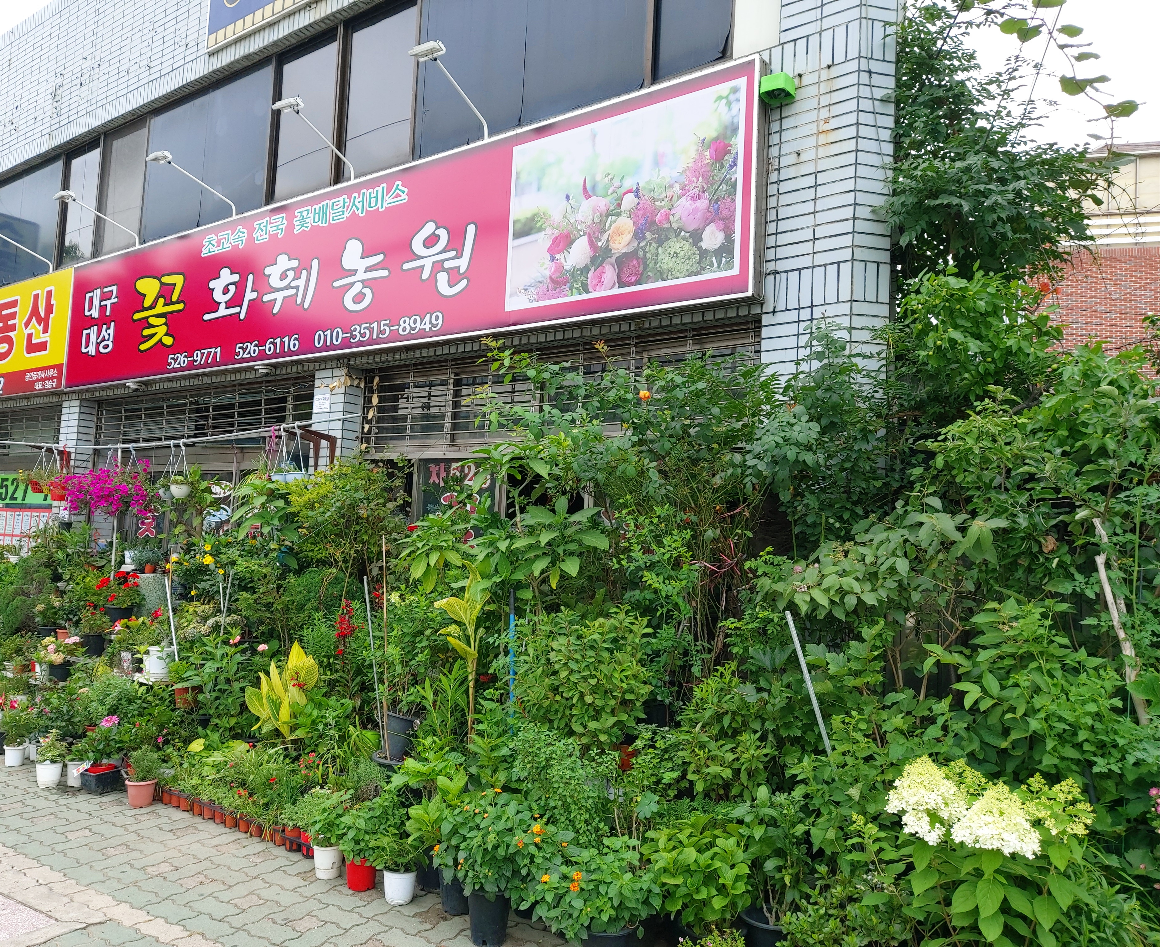 대성꽃화훼농원