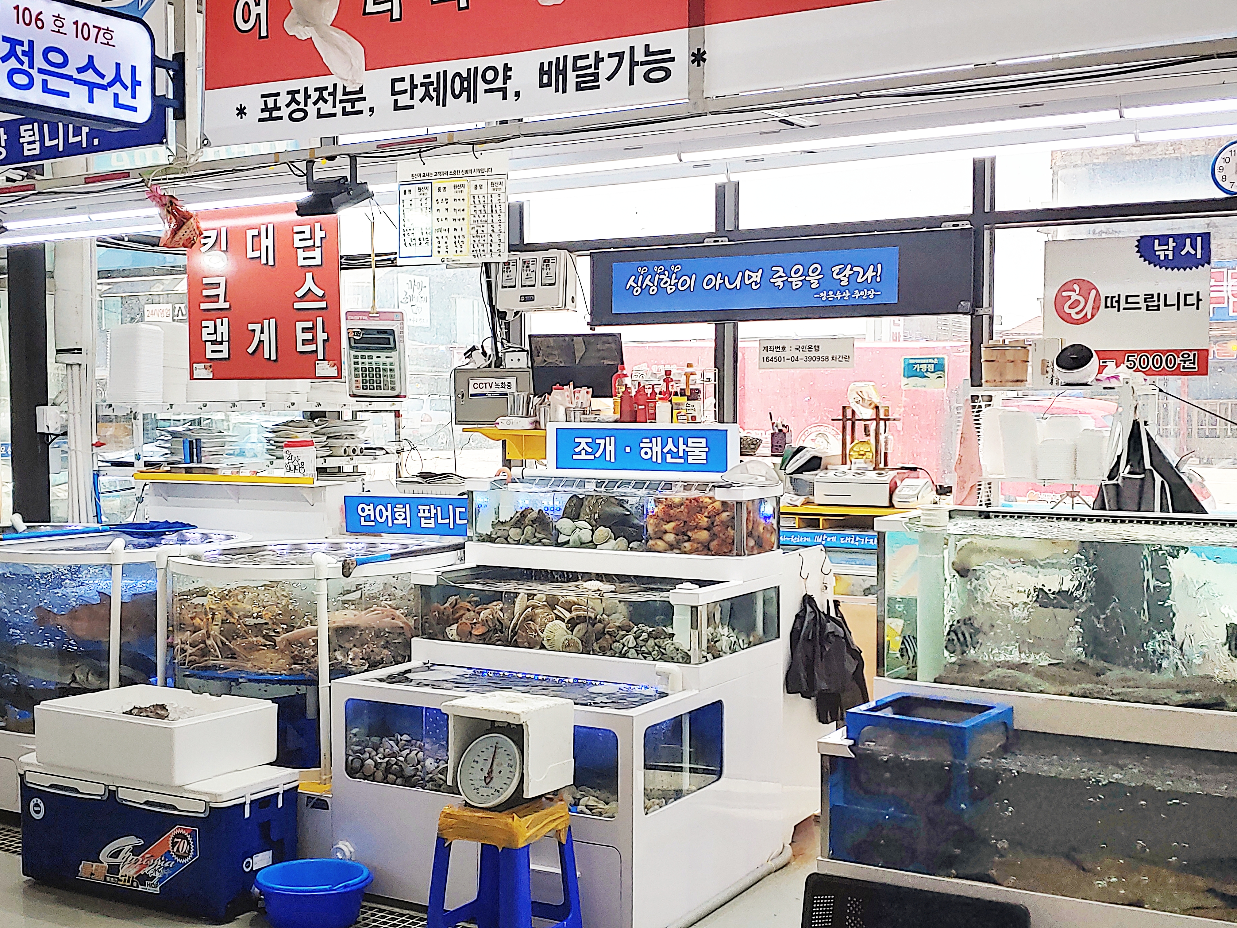 정은수산